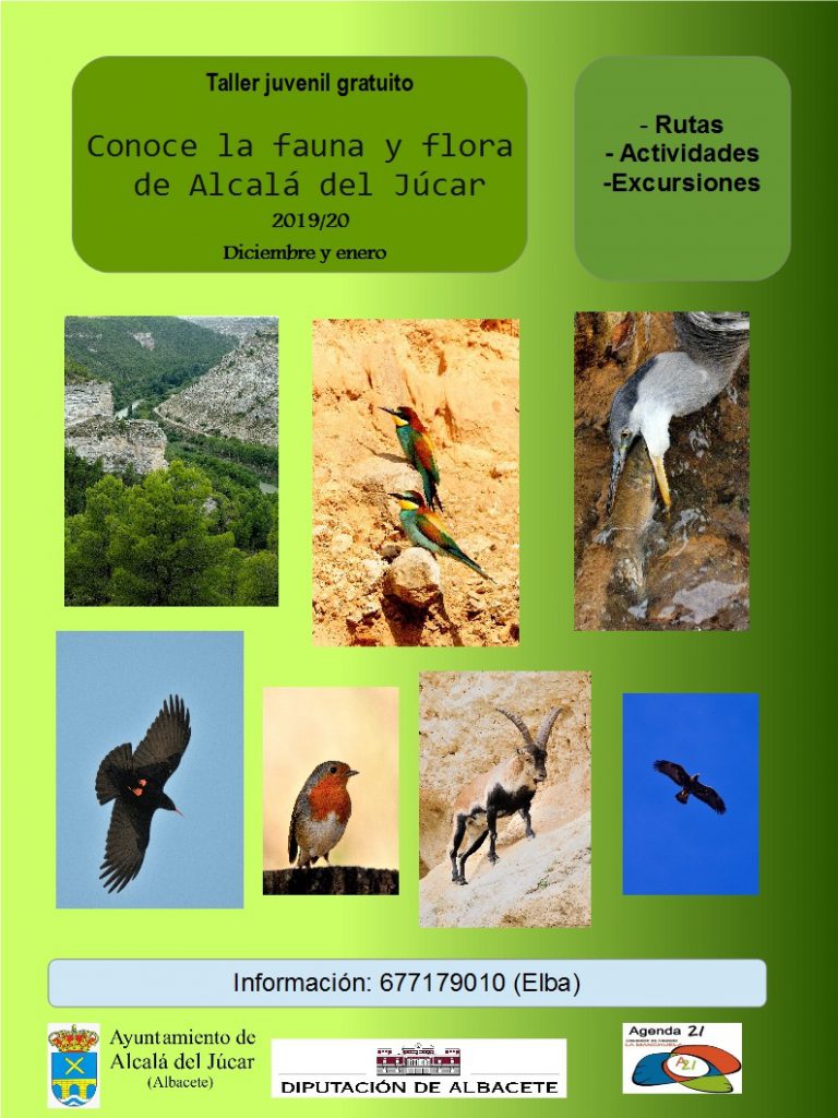Taller juvenil gratuíto - Alcalá del Júcar