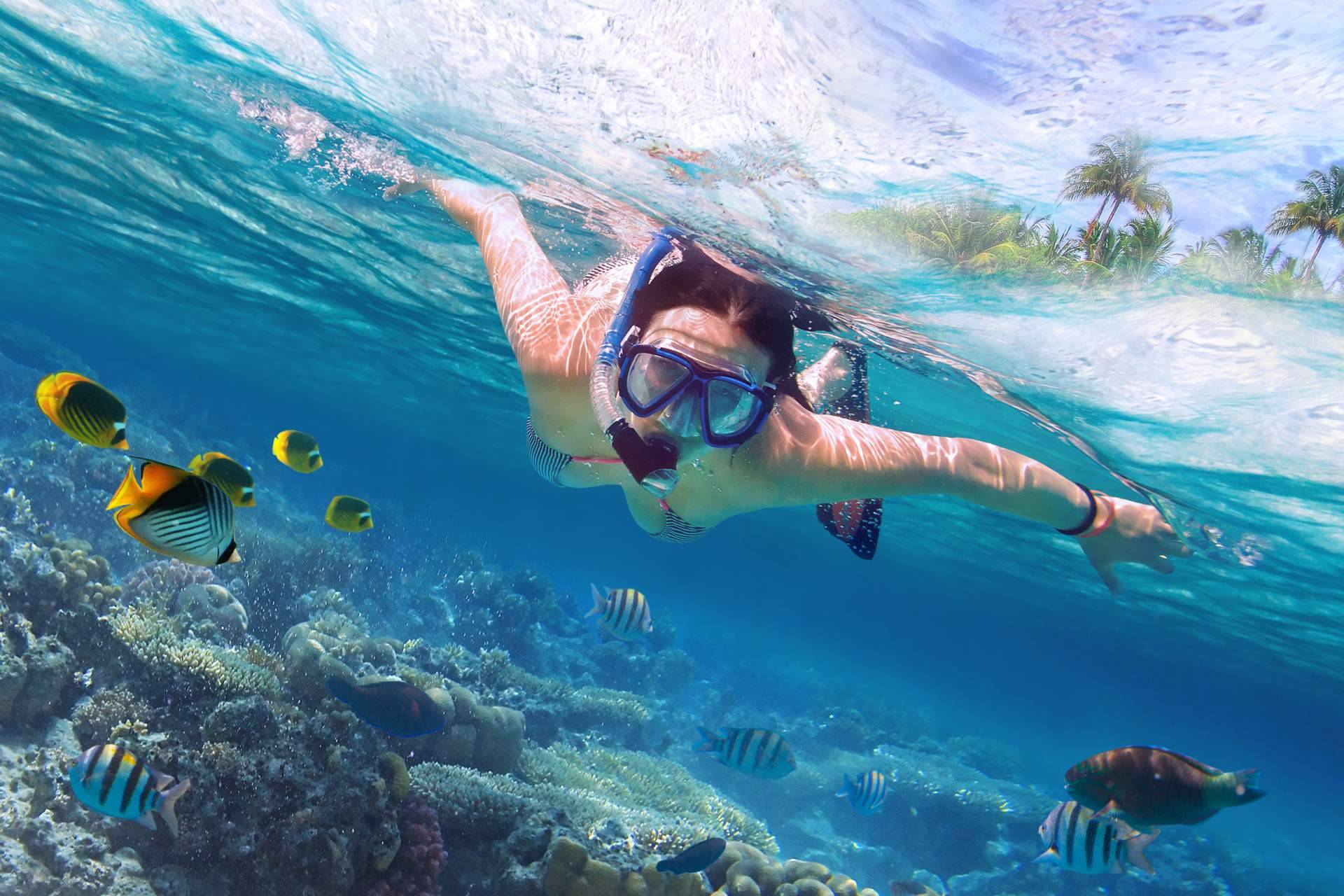 Felices Vacaciones ofrece múltiples propuestas para los españoles que buscan el sol en el Caribe durante los meses de invierno