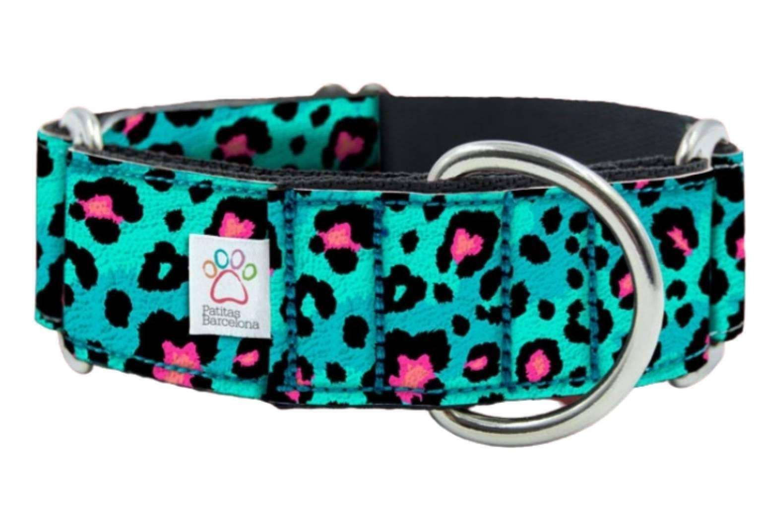 Patitas Barcelona expone qué tipo de collar es mejor para cada perro