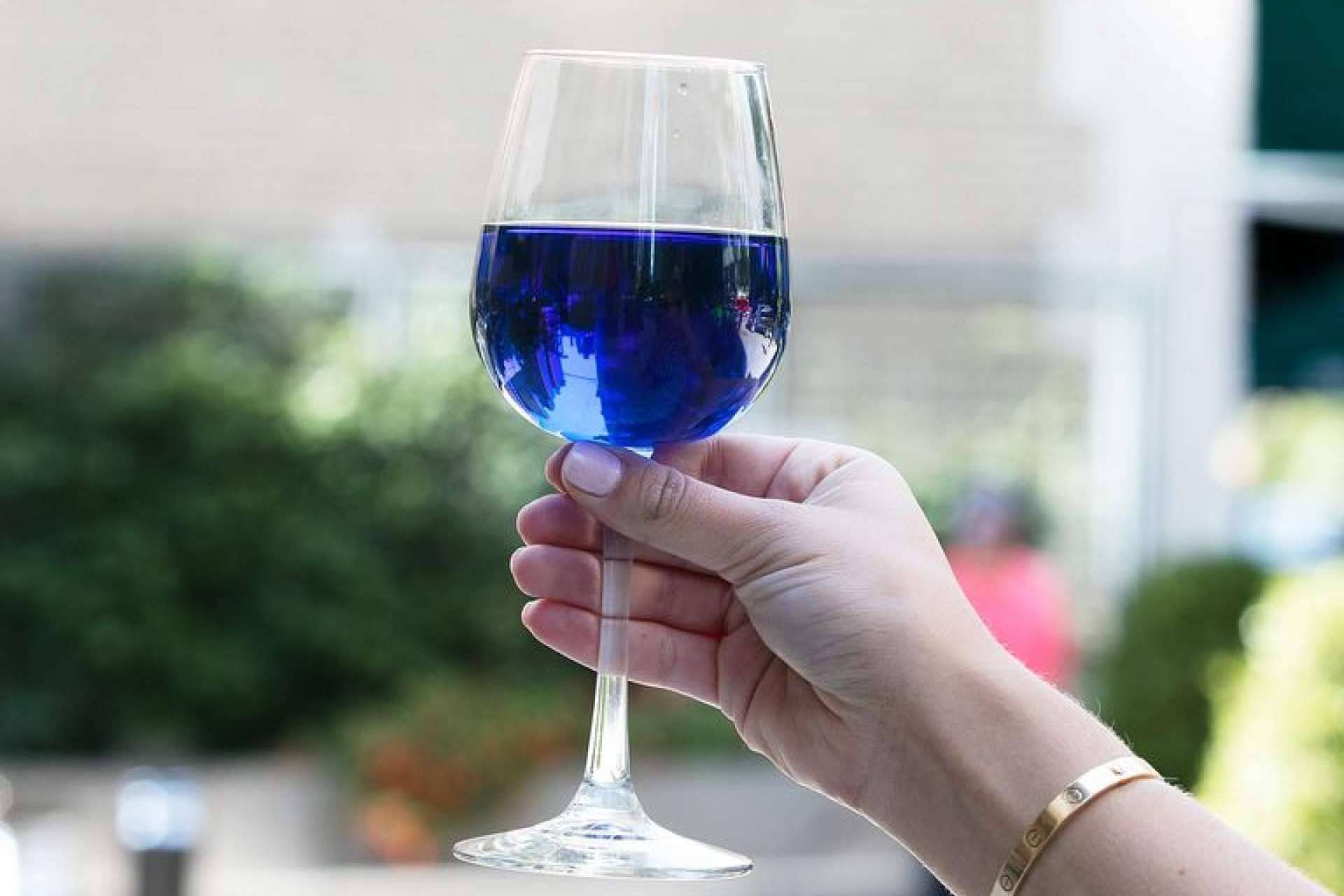 Las diferentes variedades de vino azul de la tienda online Mesa 16
