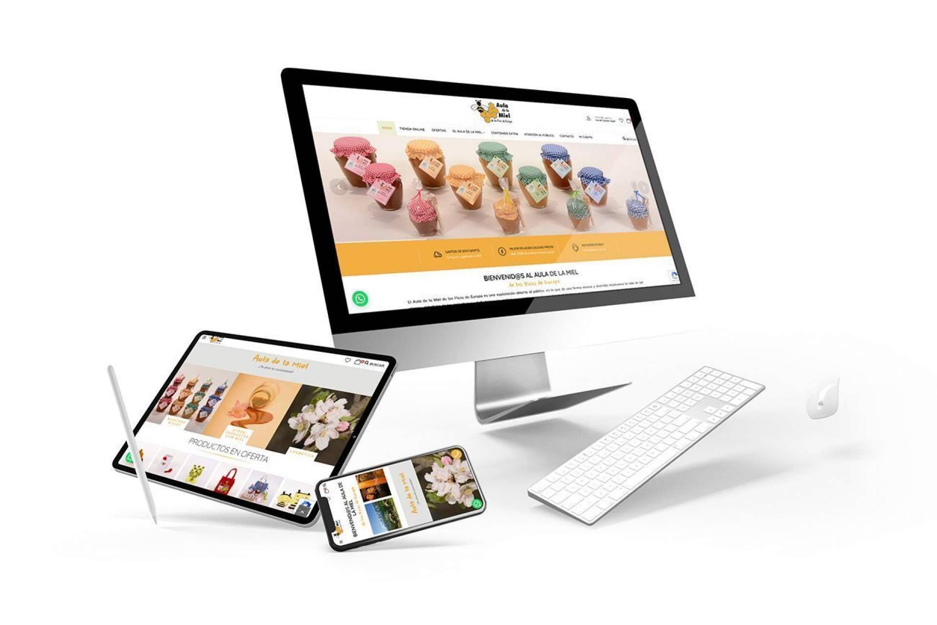 Diseño de tiendas online. Un diseño de e-commerce para conseguir más clientes y aumentar la rentabilidad del negocio