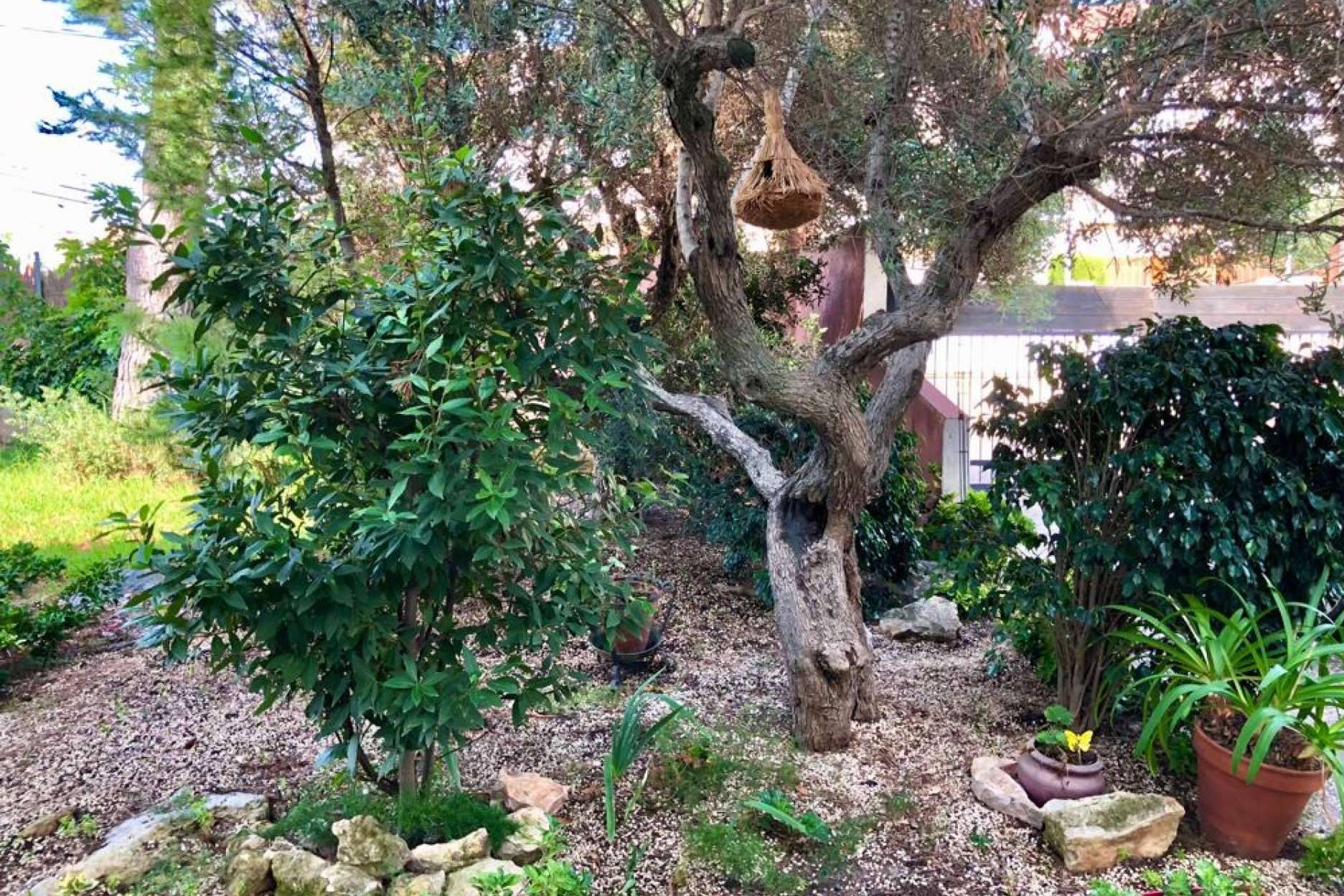 Mansión en venta cerca de la playa con piscina y jardín particular