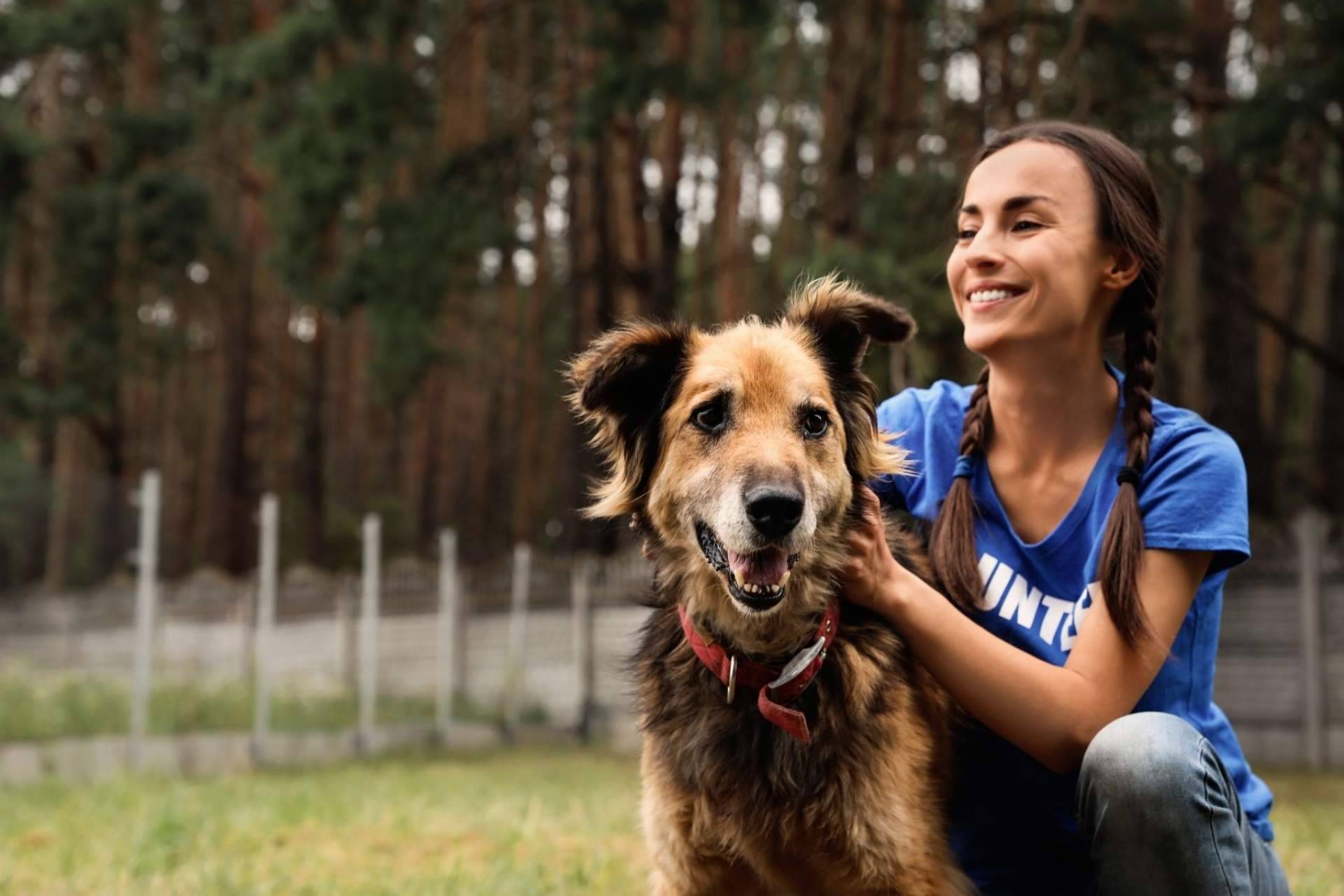 ¿Dónde encontrar un buscador de animales en adopción? Adopta Un Animal