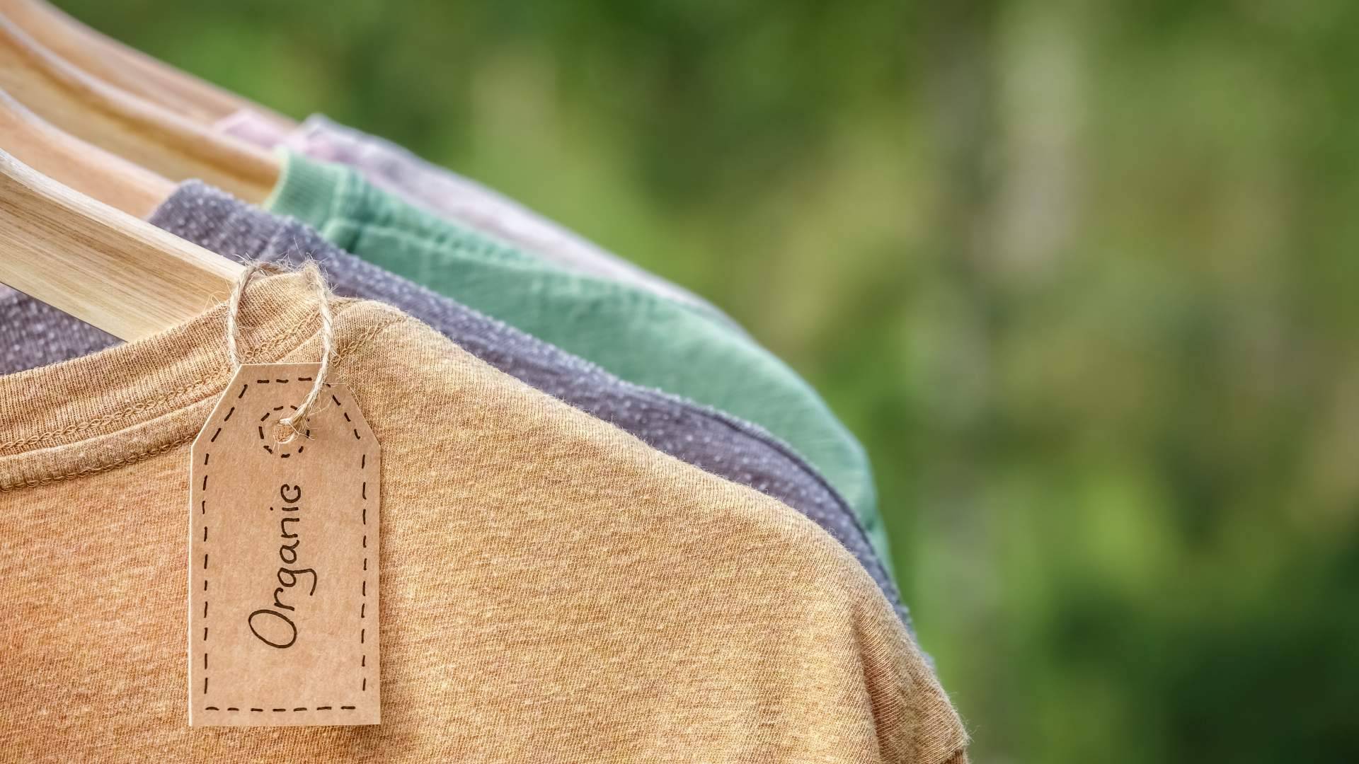 Apuestan por la sostenibilidad con marcas como Ecoalf, desde la multimarca online Who Killed Bambi?
