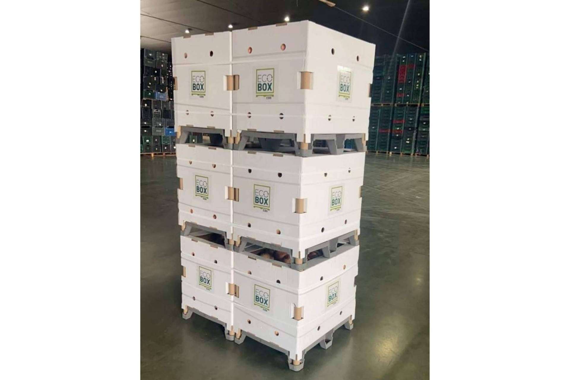 Inka Palet ofrece una gran variedad de opciones de palés