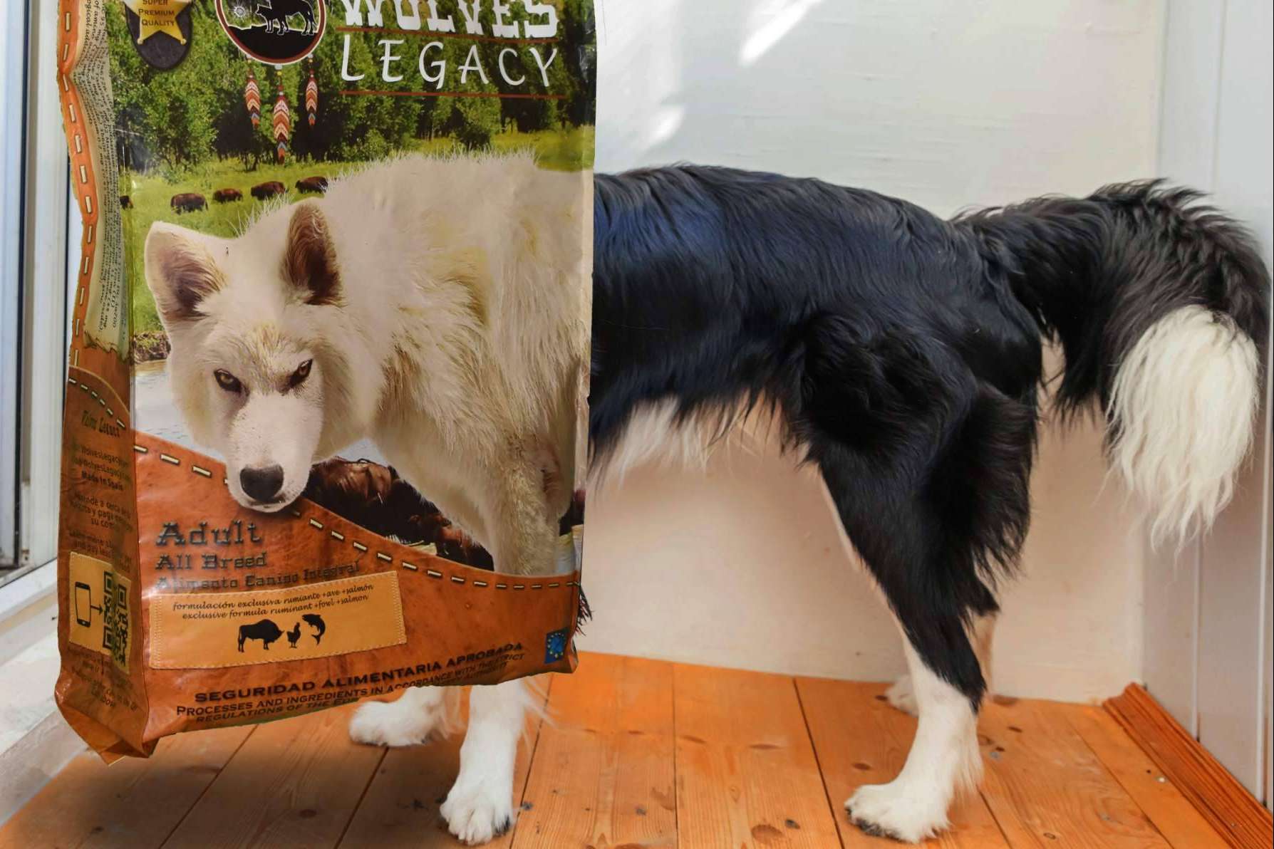 El método para evaluar los mejores piensos para perros