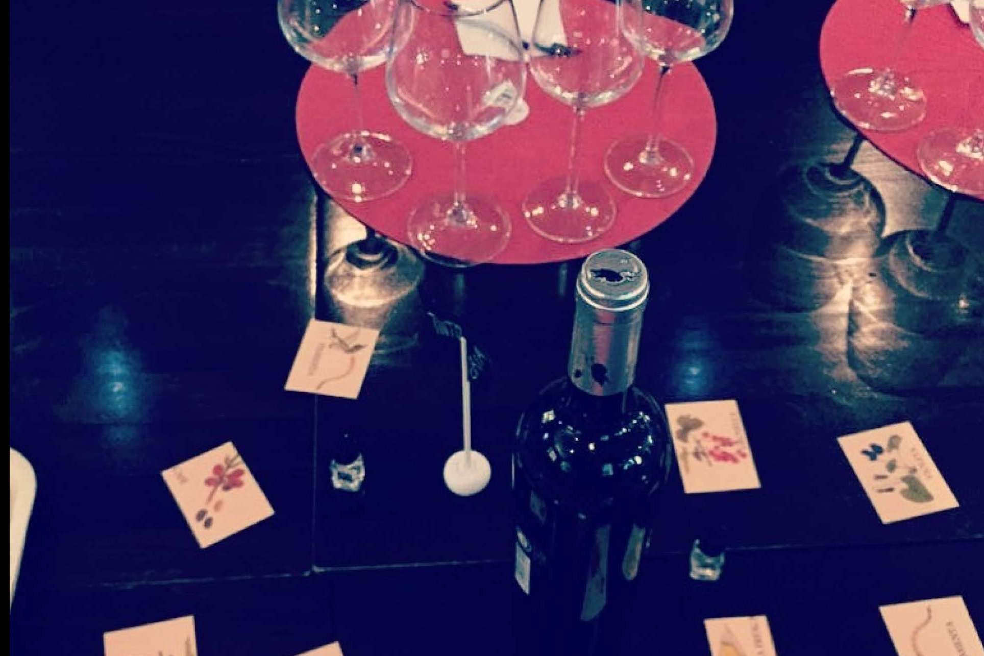 Las catas de vino de Envero Tinto tienen a las uvas en recuperación y pequeñas bodegas como protagonistas
