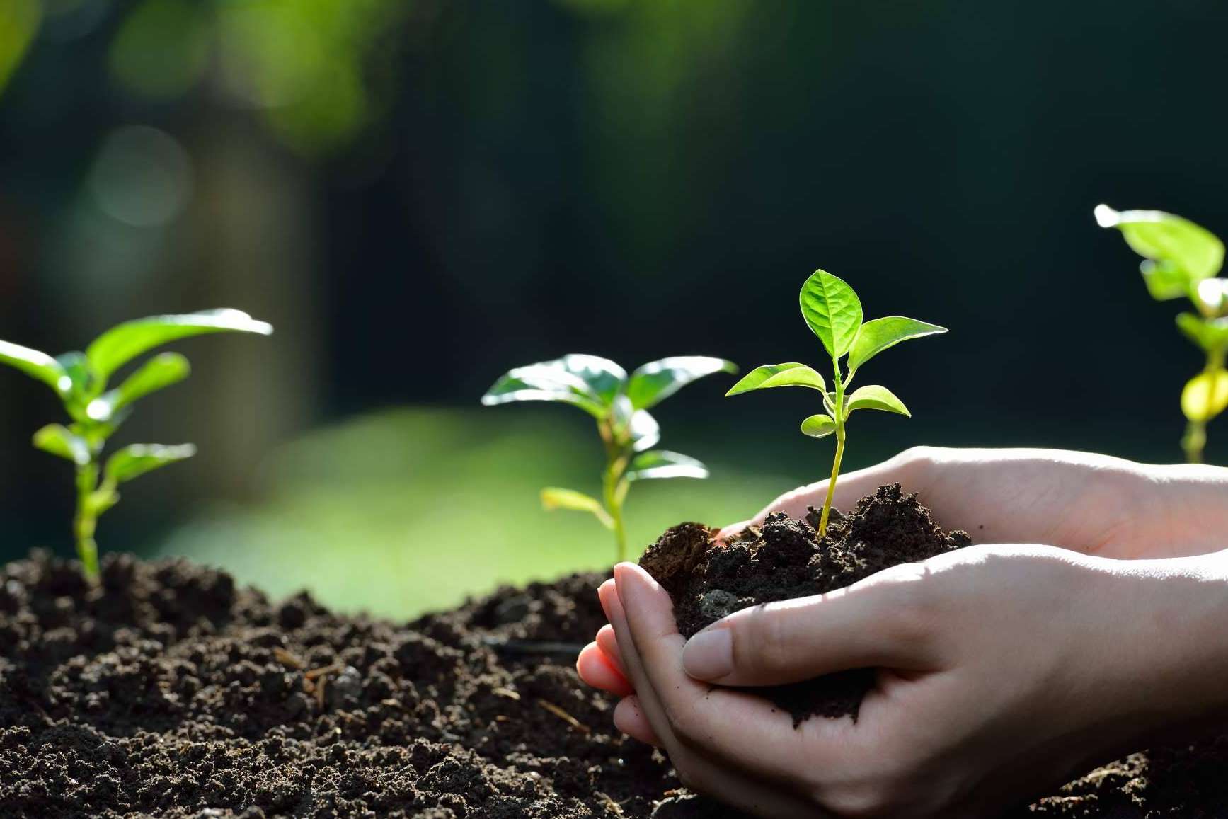 GreenAir es uno de los primeros sistemas mineros ecológicos y sostenibles