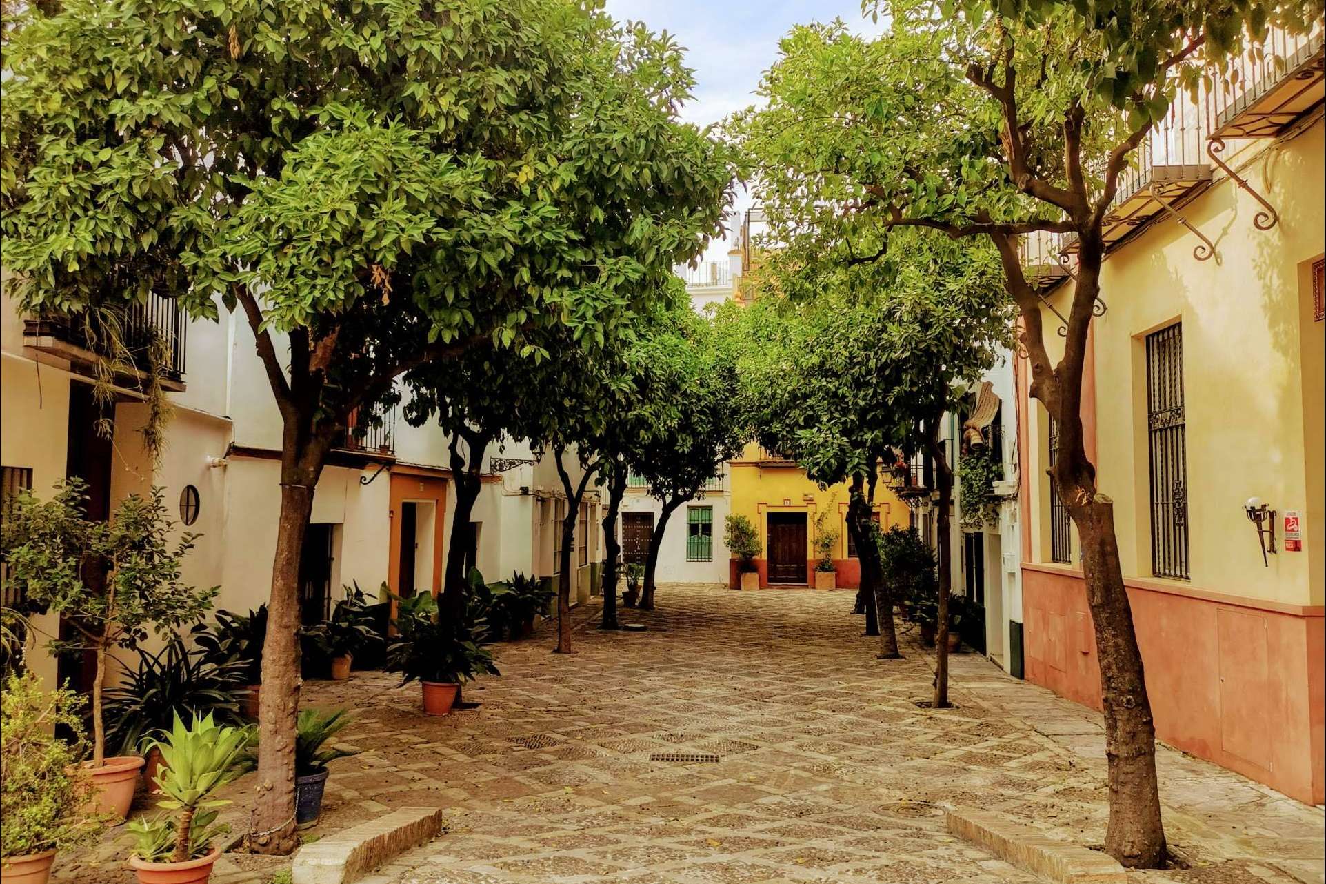 Visitas guiadas en Sevilla de la mano de un experto, Tu guía de Sevilla