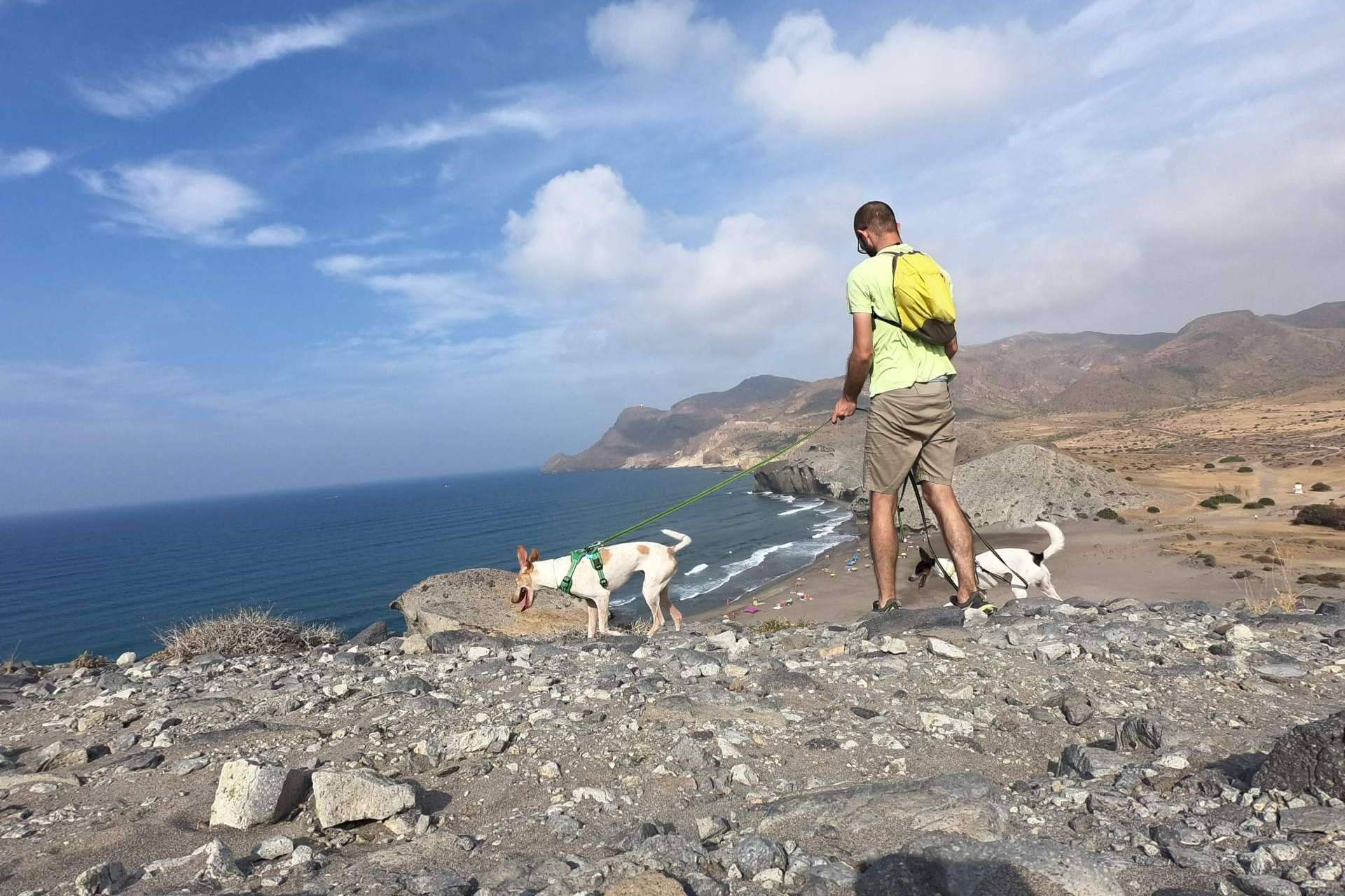 Educación amable y respetuosa para perros, con David Lapido