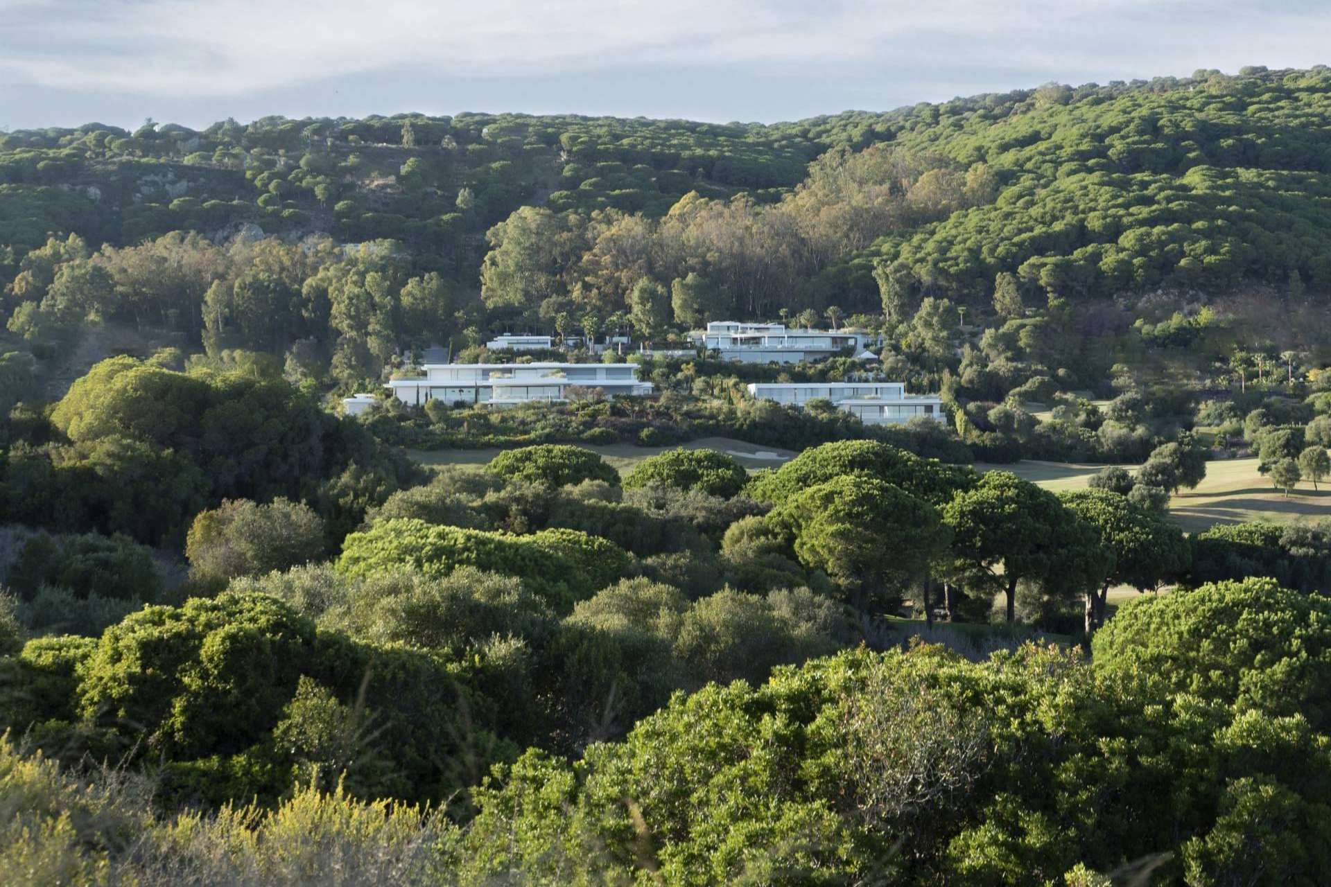 ARK Architects, firma arquitectónica especializada en el diseño y la construcción de residencias de alto nivel
