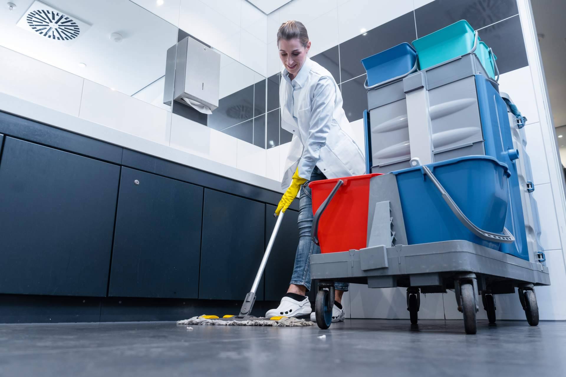 Amerital Servis (Royal Euroservice Consulting S.L.) y su servicio de limpieza