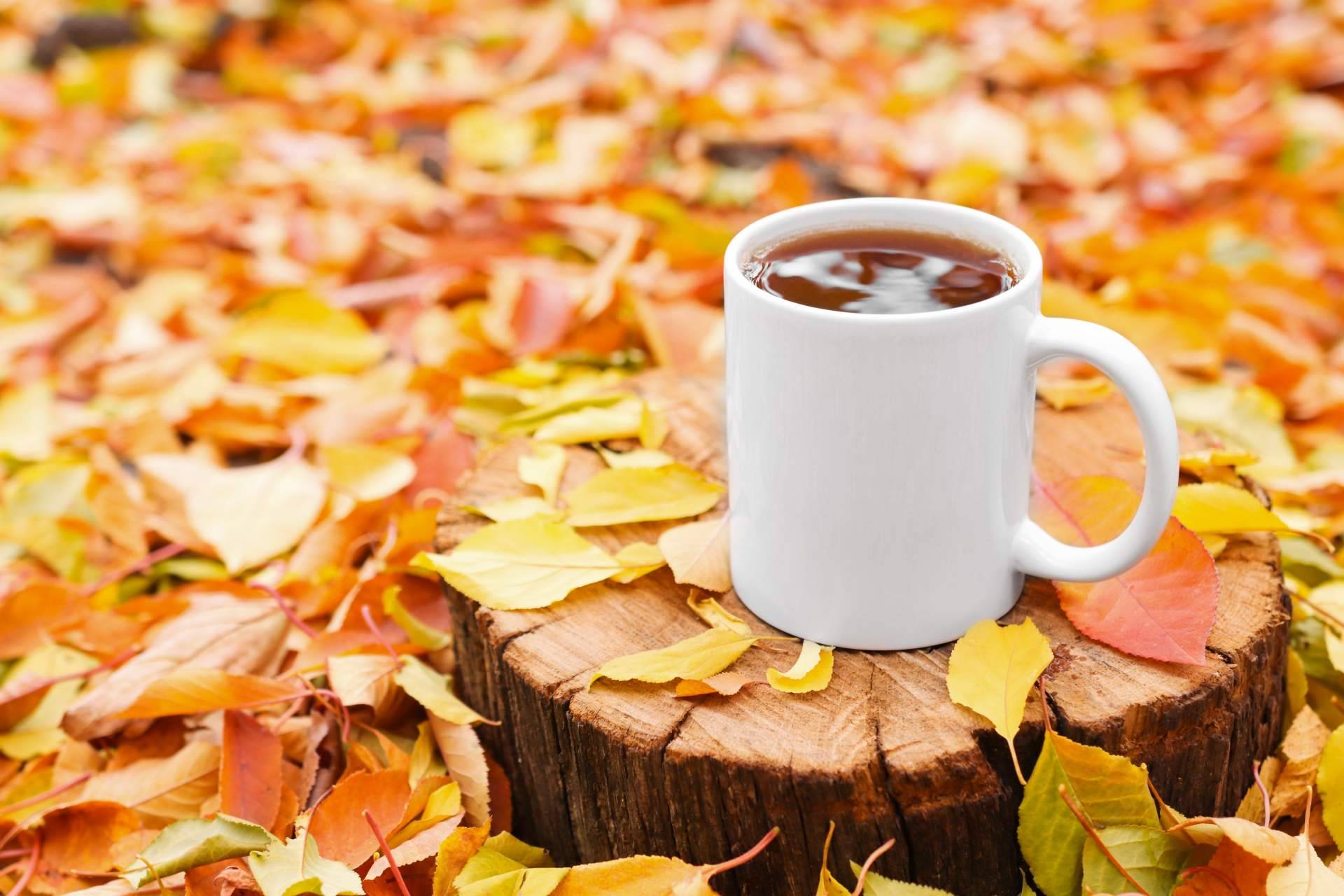 3 originales formas de utilizar las tazas publicitarias para llegar al corazón de los clientes, por la compañía RegaloEmpresas
