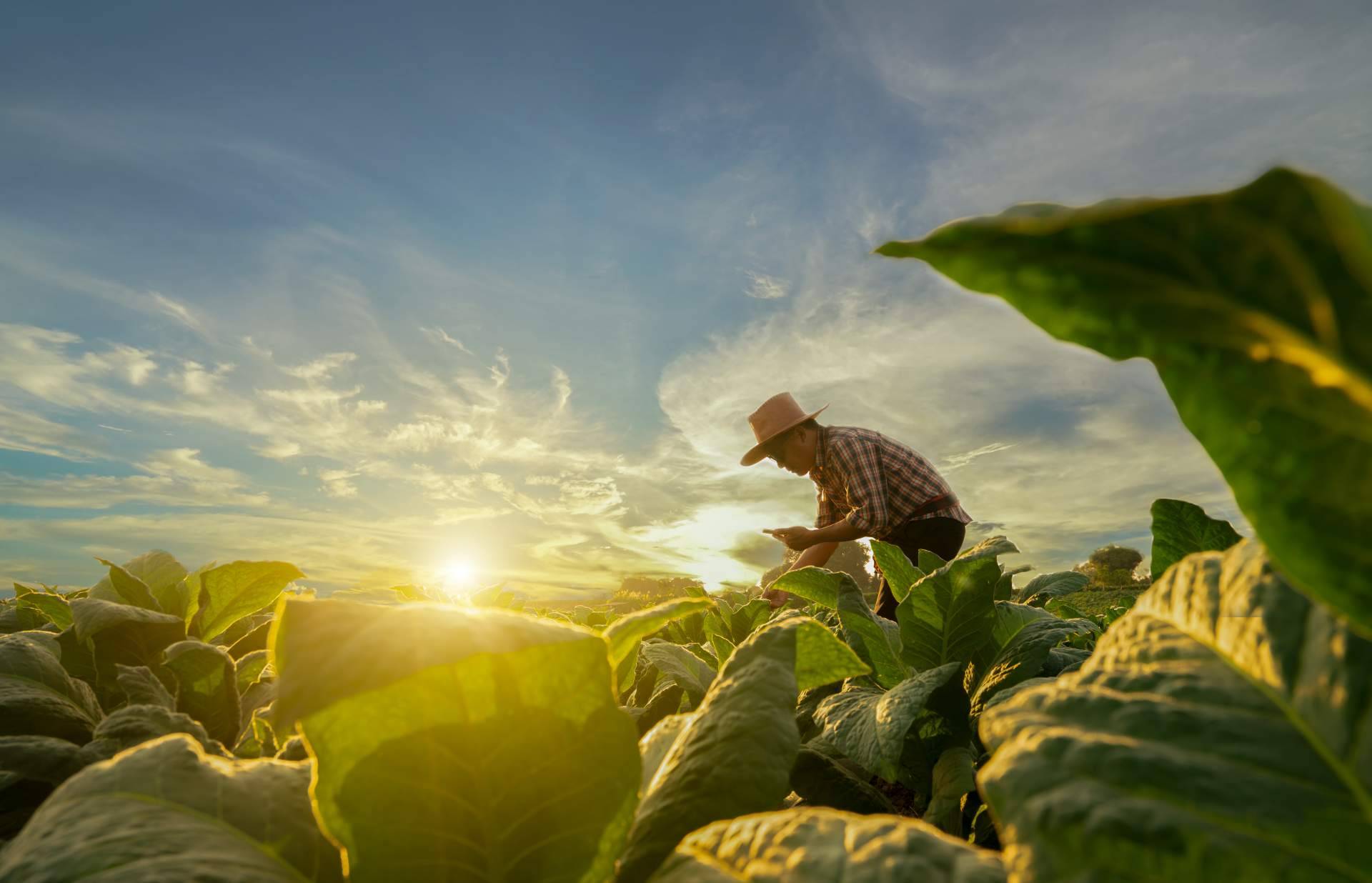 Empresa especializada en cultivos fomenta la agricultura sostenible, Agbar