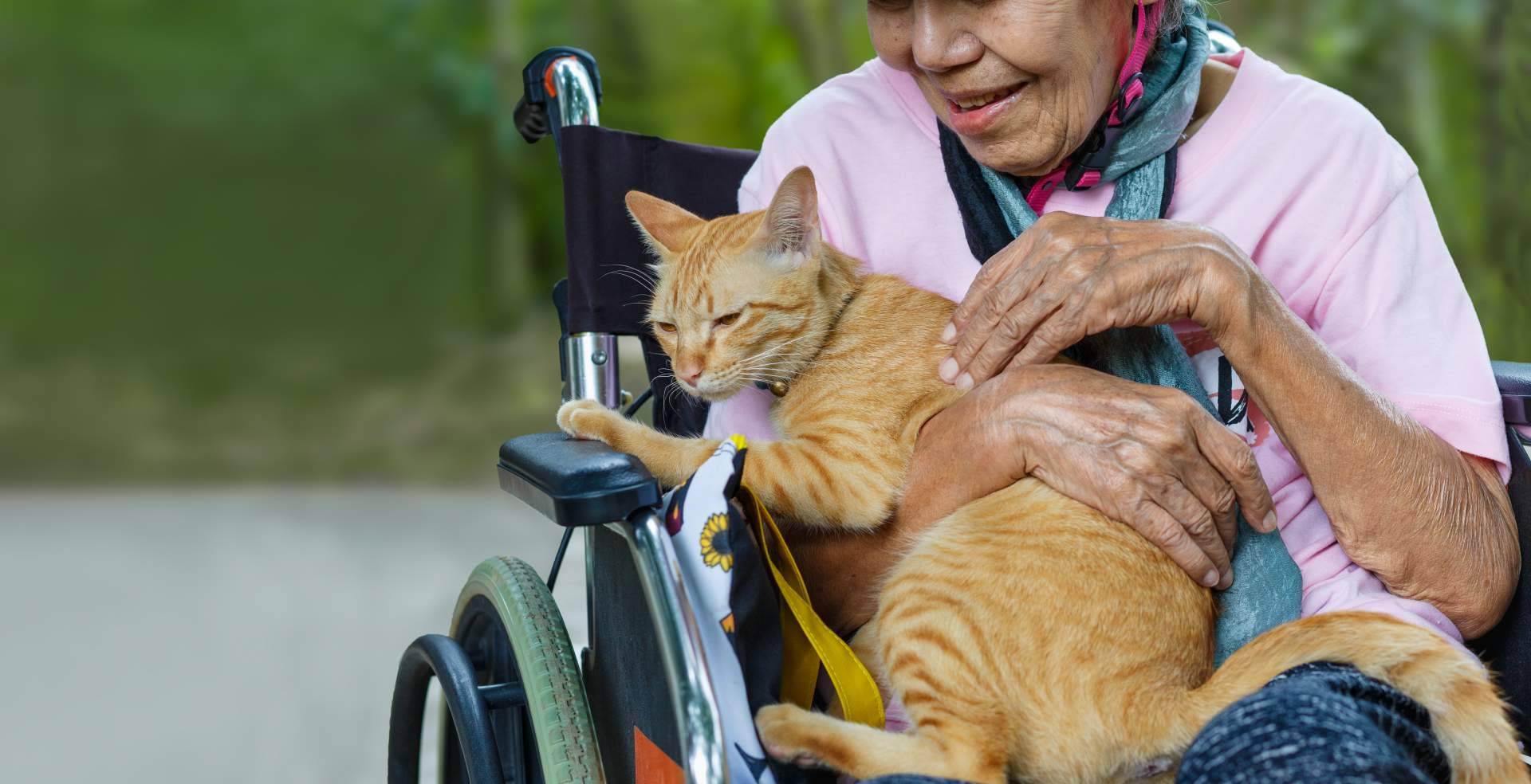 El vínculo humano-animal y su importancia, según la doctora Paula Calvo