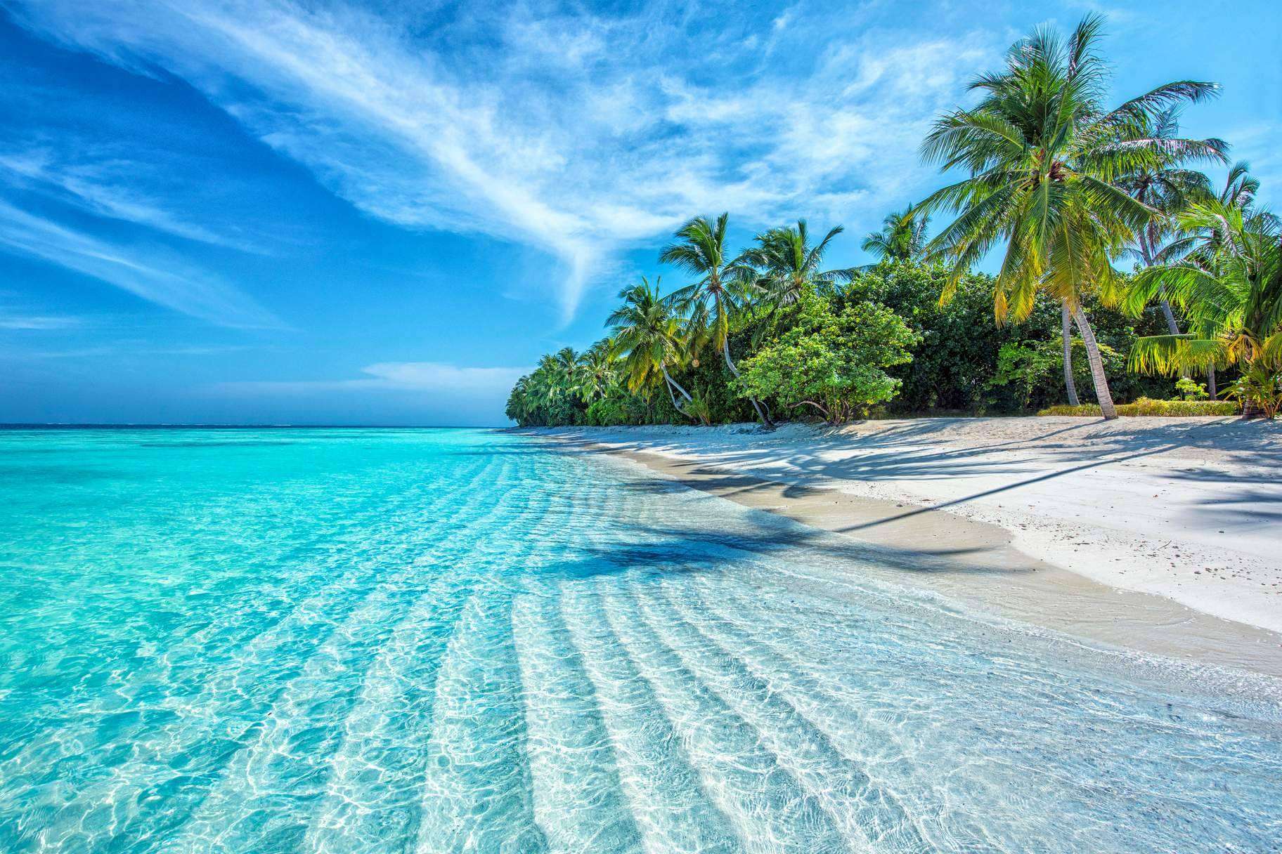 ¿Qué se puede ver y hacer en el Caribe durante el invierno?