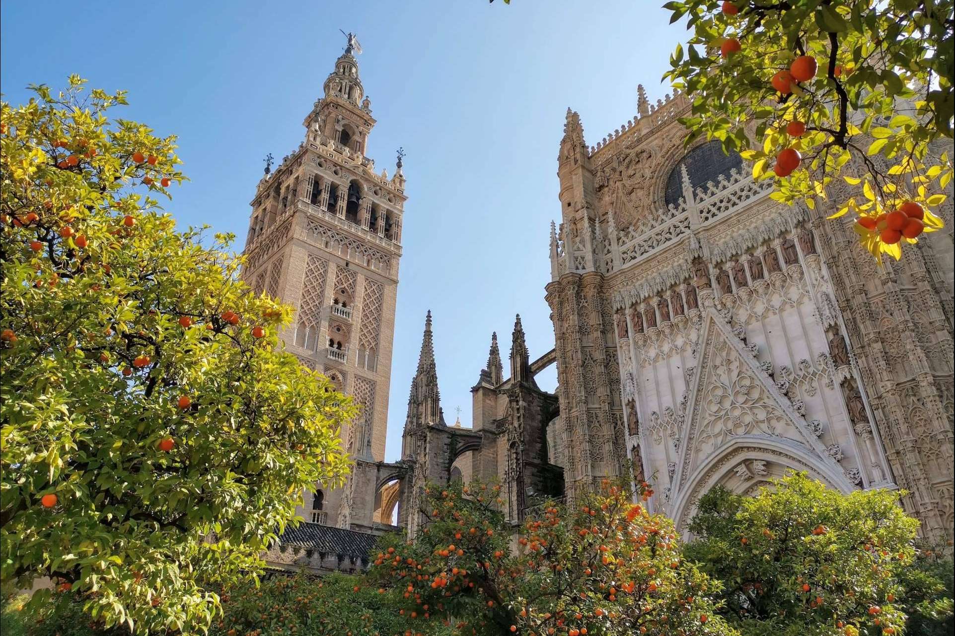 Los 5 lugares que no se debe olvidar un visitante en Sevilla