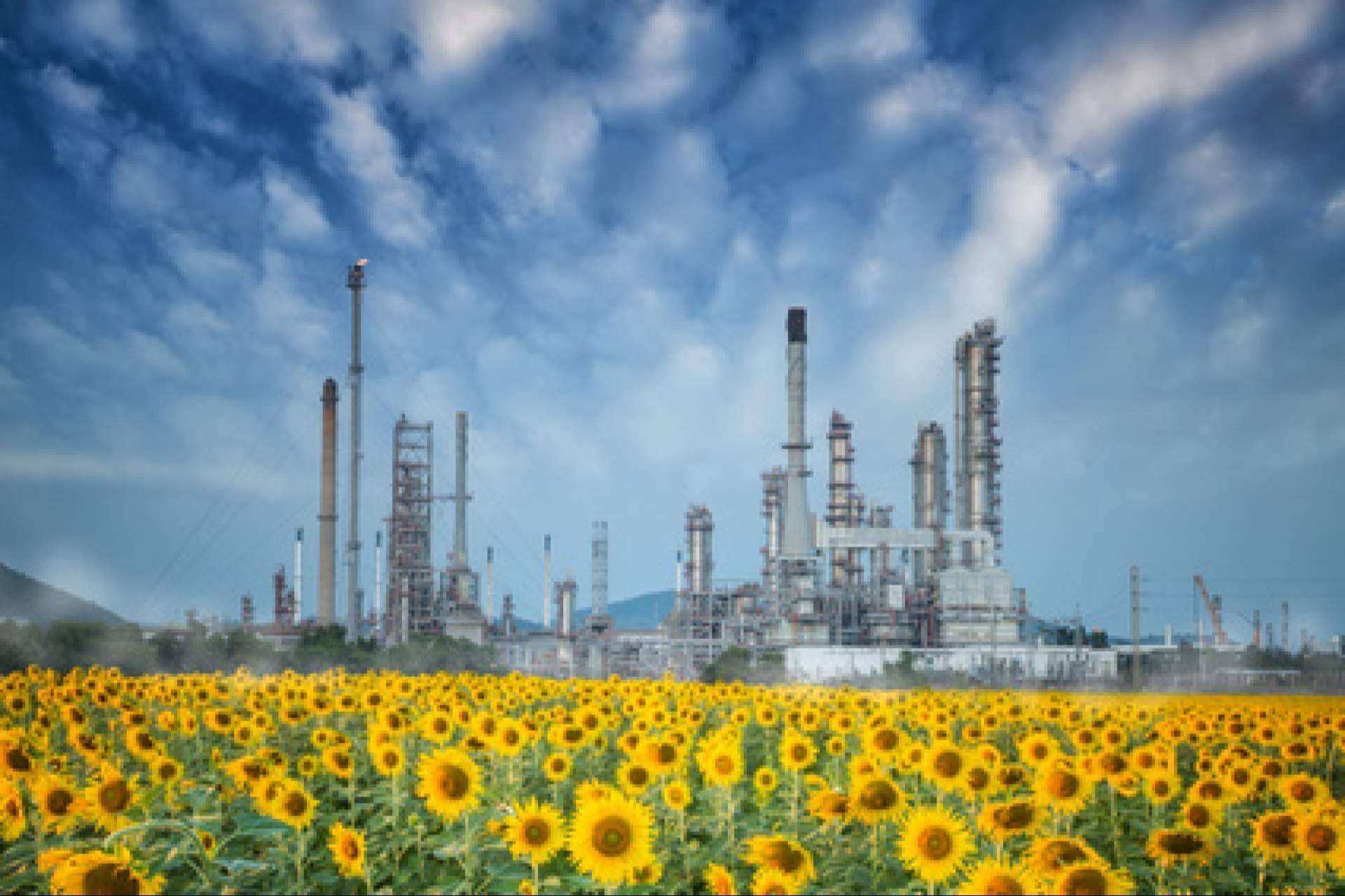 Capturar el CO2 de las refinerías y plantas químicas y emplearlo para fabricar nuevos combustibles