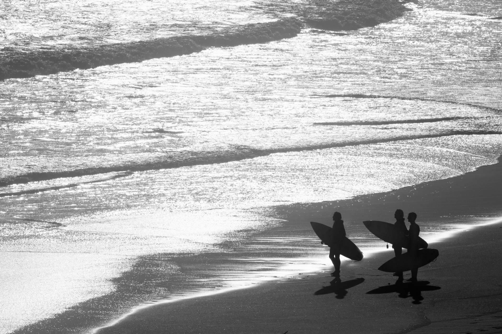 Watsay ofrece tablas de surf para profesionales y principiantes