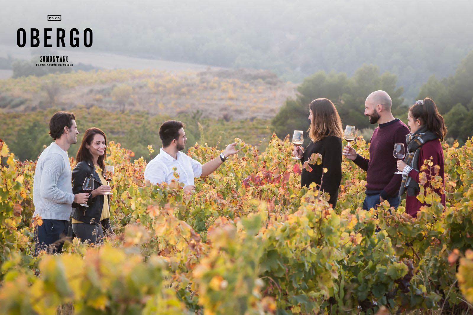 Visitar la bodega de Obergo o una experiencia singular en el Somontano