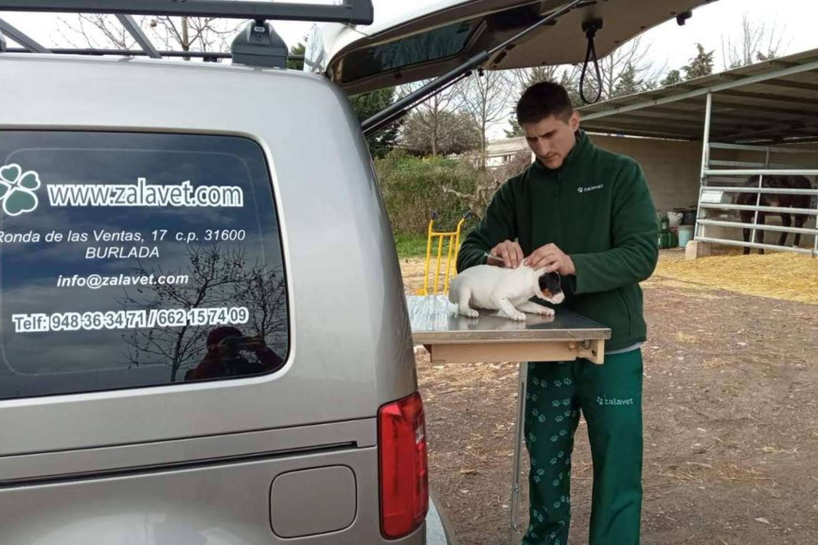 Zalavet, el mejor pienso para perros y gatos y dietas personalizadas en función de las necesidades de la mascota