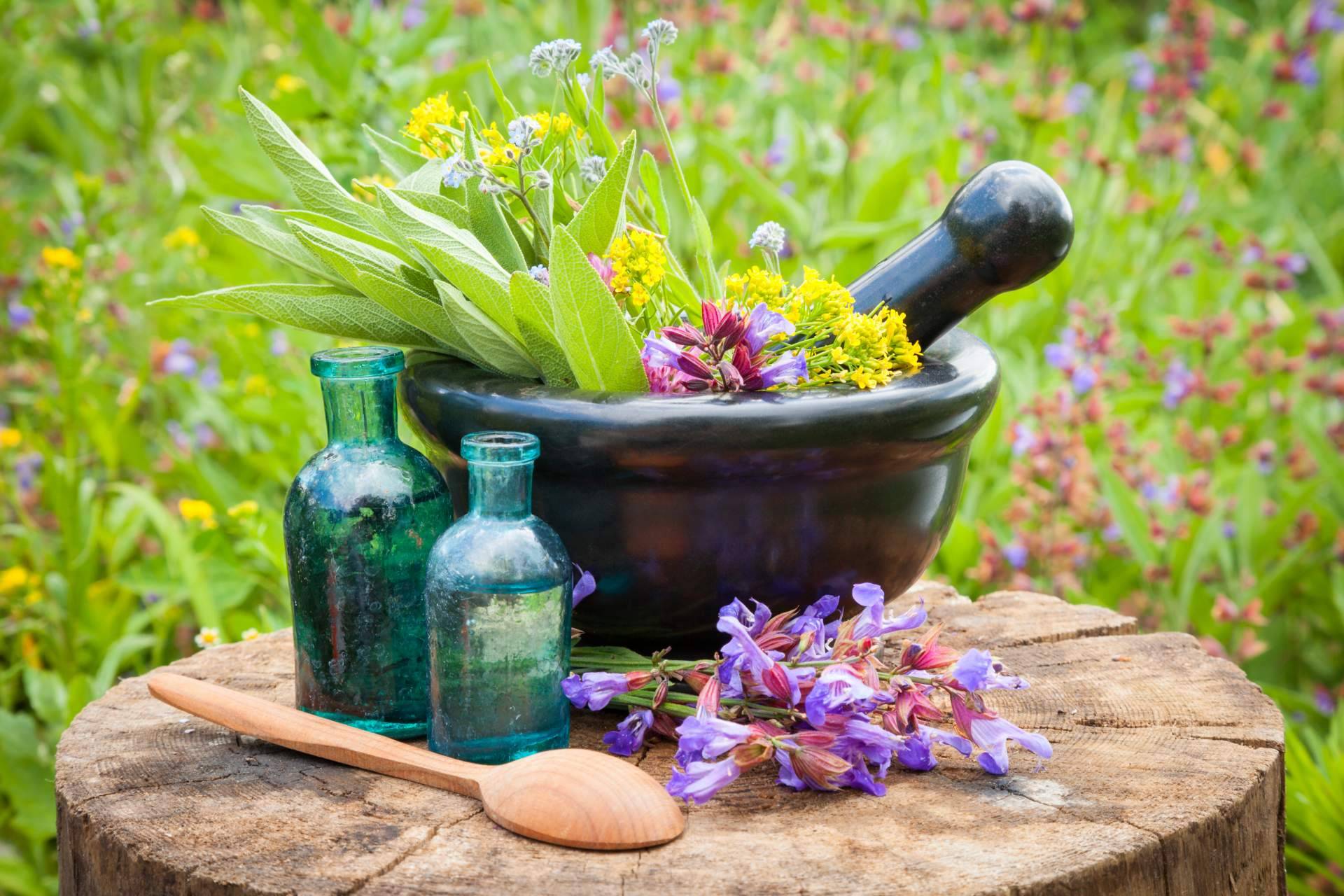 Fortalecimiento Vital y su Curso de Flores de Bach y Curso Gestión del Estrés