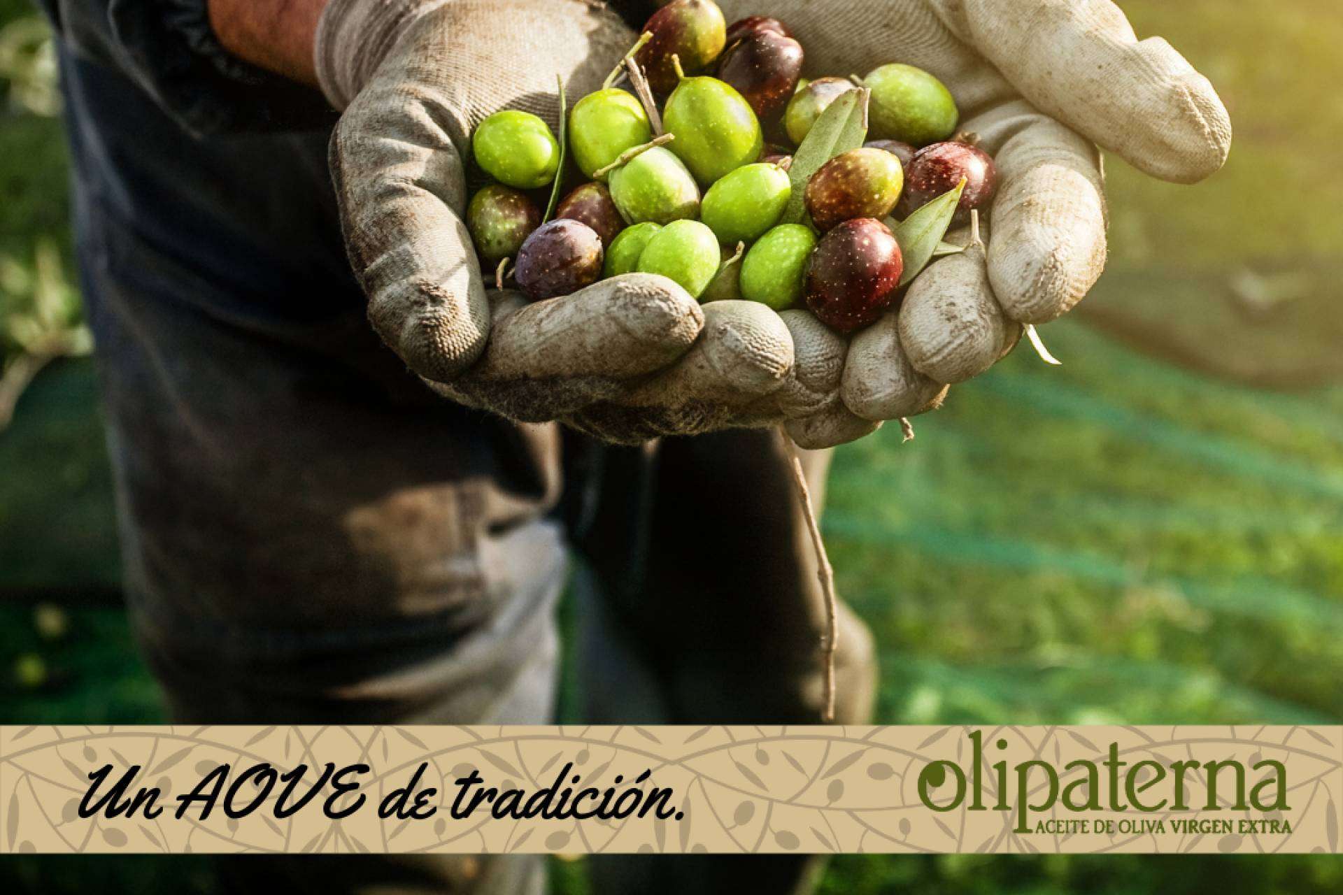 El aceite de Olipaterna, galardonado en la octava edición del Premio al Mejor AOVE de la provincia de Huelva