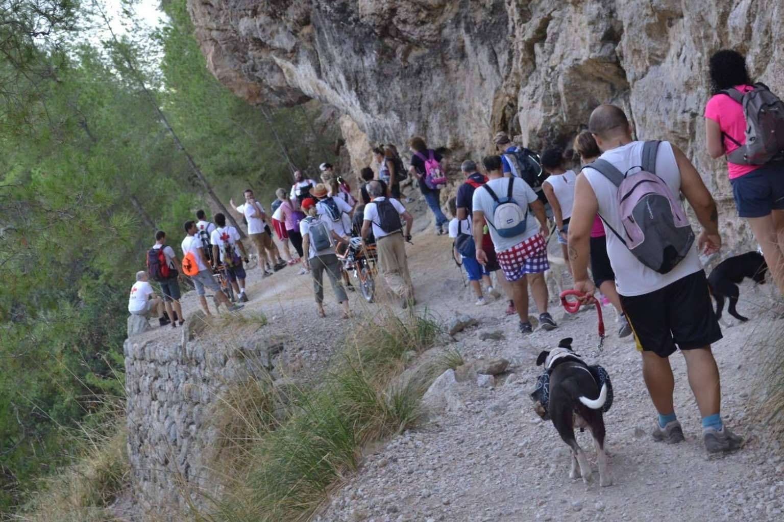 La Asociación Española de Perros de Apoyo ayuda a mejorar la relación entre perros y humanos con el adiestramiento canino