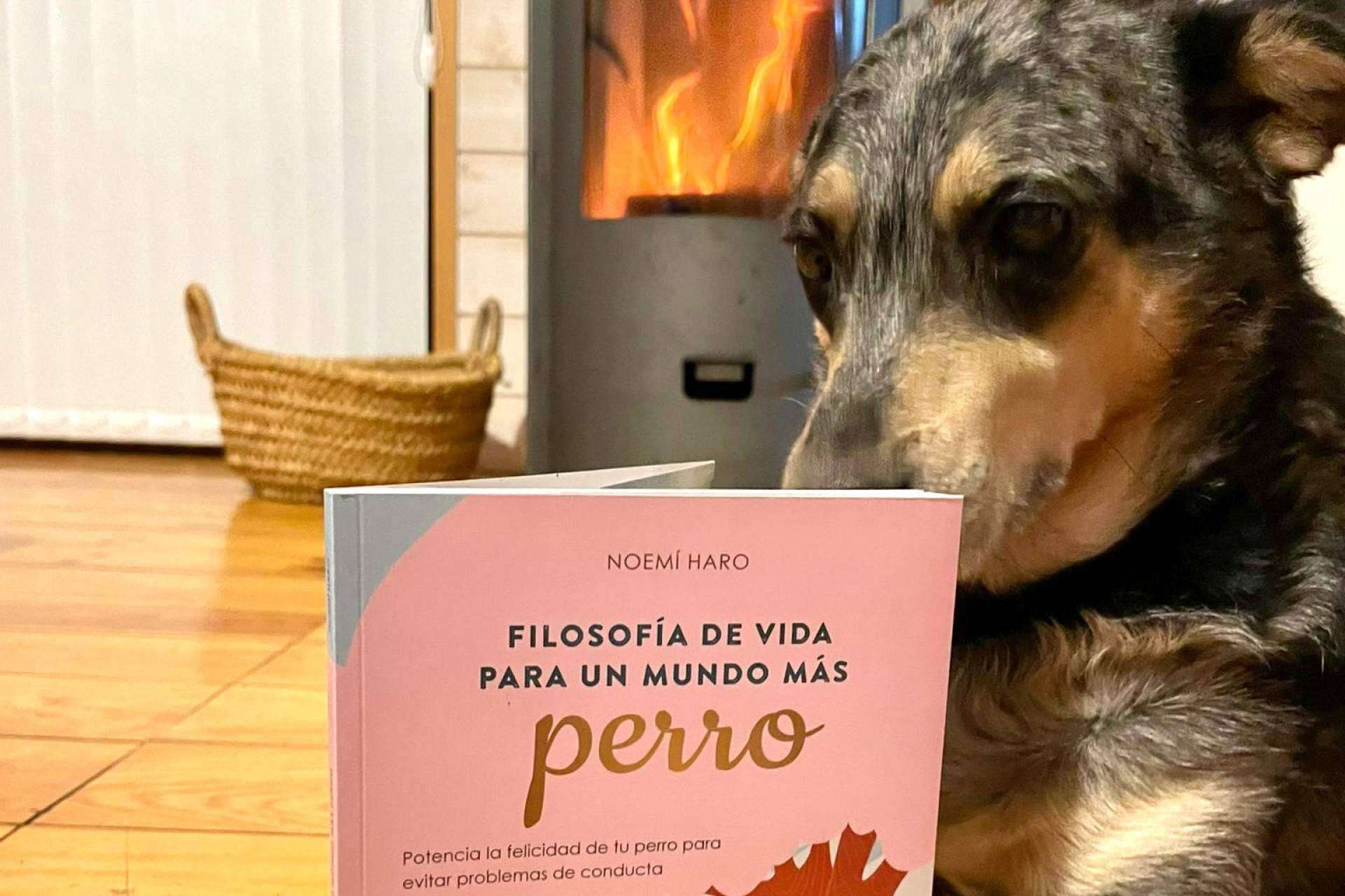 Ulises y Argos presenta 'Filosofía de vida para un mundo más perro', educación canina de calidad