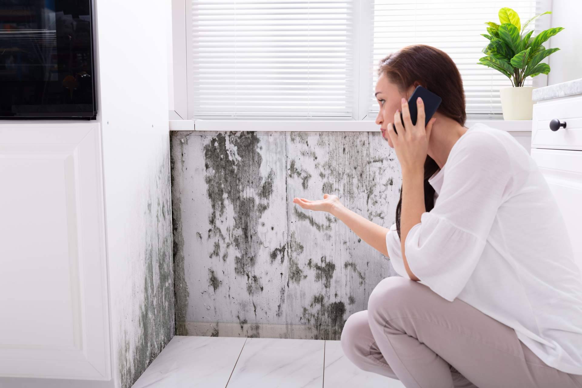 La importancia de eliminar las humedades por capilaridad para prevenir problemas de salud