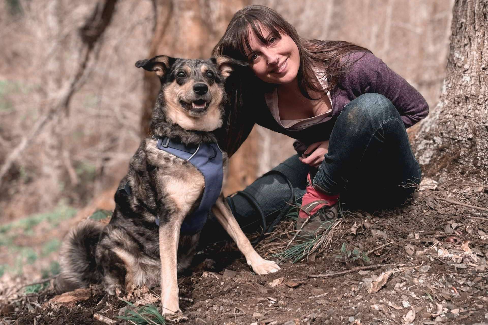 Ulises y Argos, consejos para afrontar el comportamiento reactivo de los perros