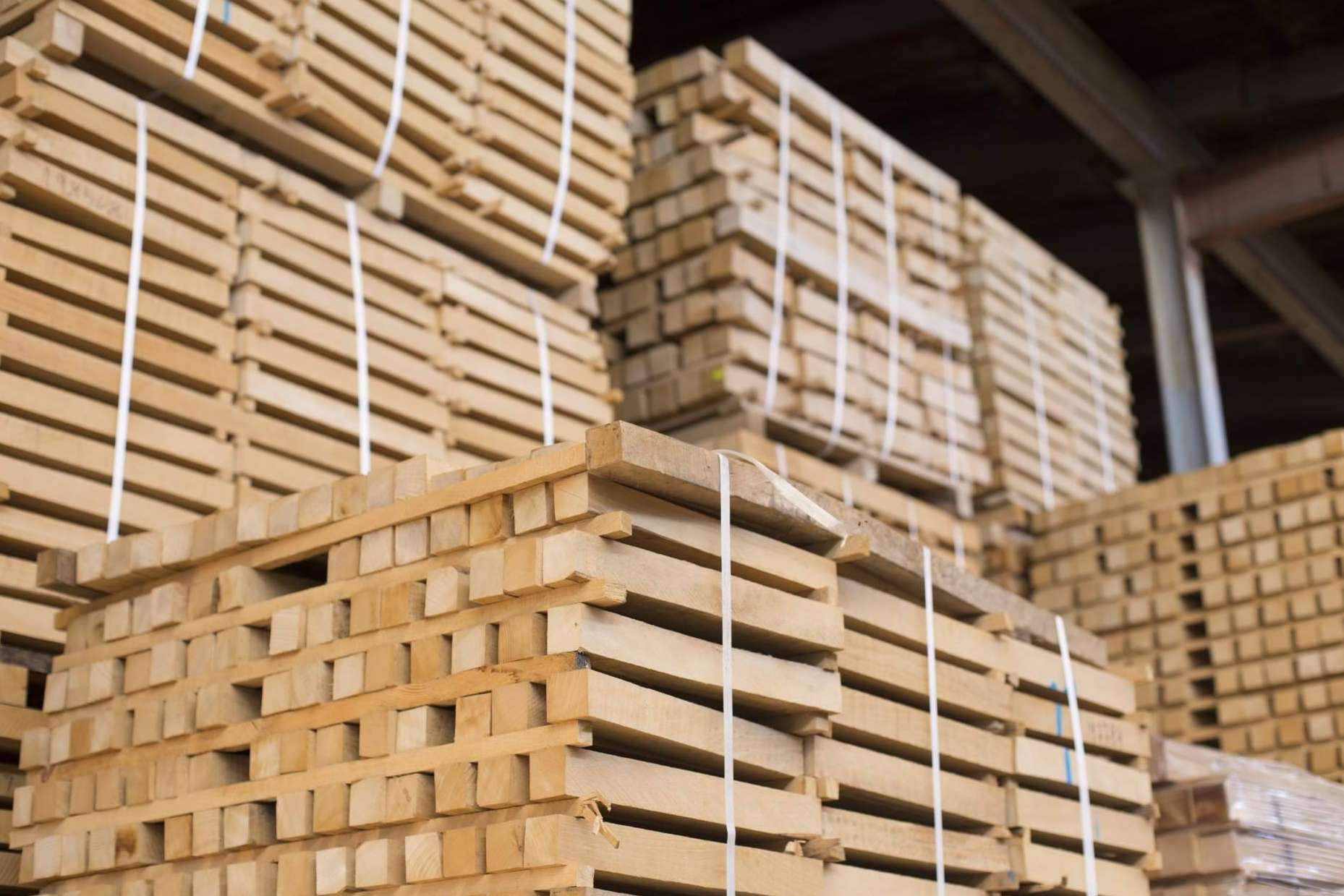 ¿Por qué son importantes las empresas madereras con certificados FSC ® y PEFC ™?