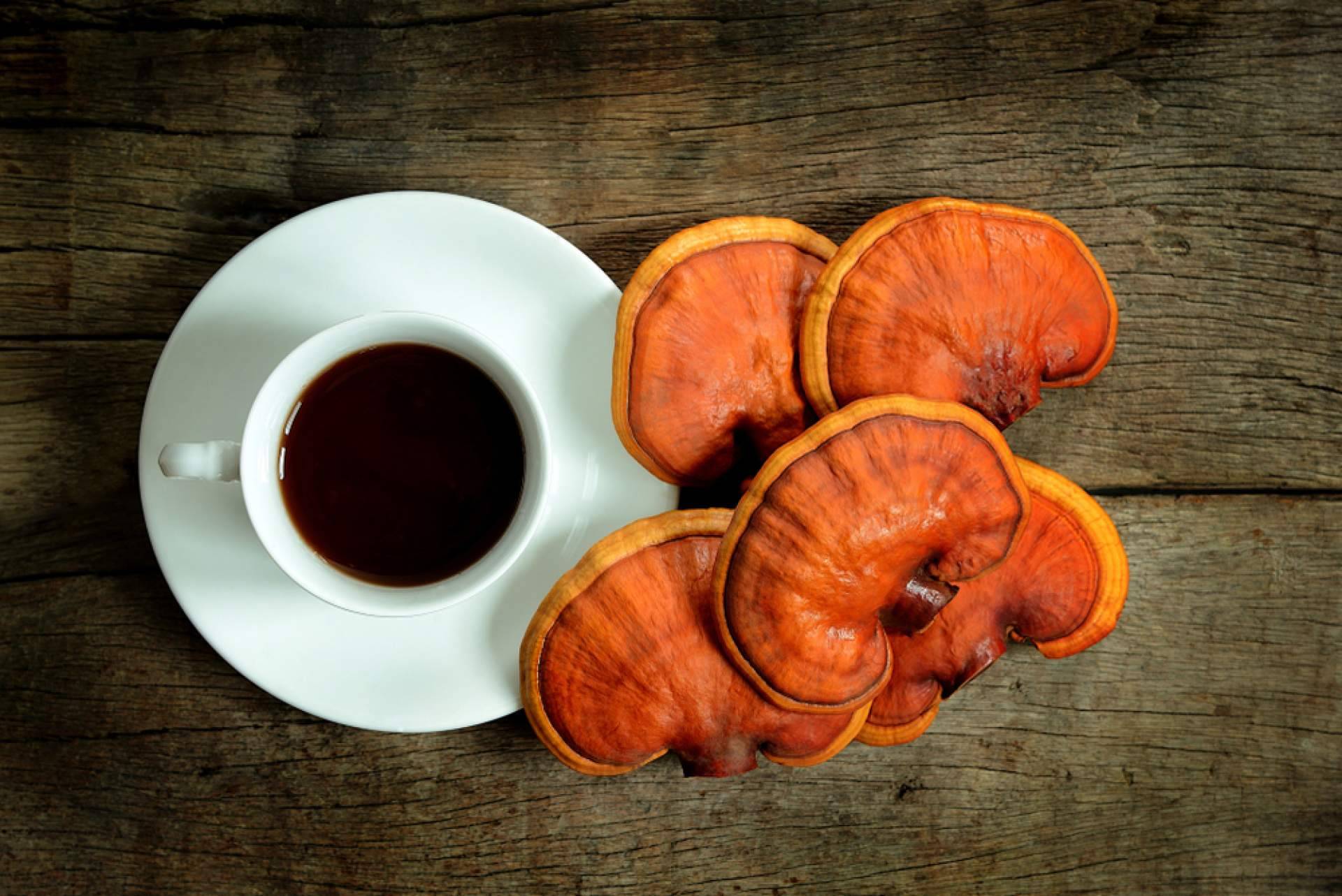 La combinación de café con ganoderma, por La Tienda De Cristóbal