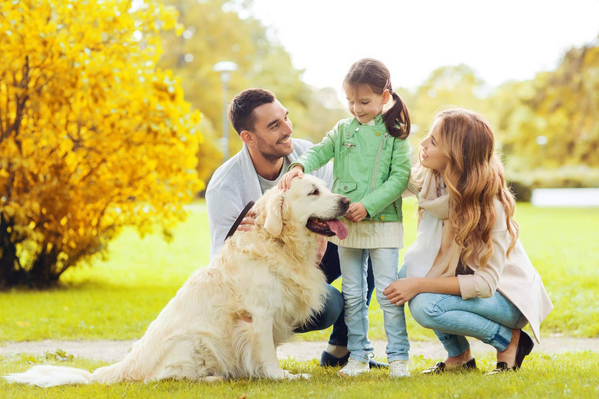 La ciencia descubre que para mejorar la convivencia con los animales de compañía es fundamental comprender su comportamiento