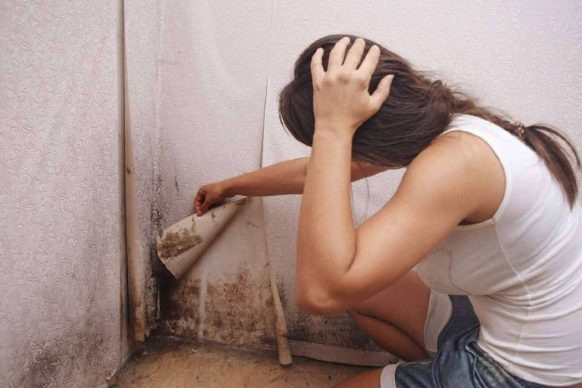 Quitar la humedad de las paredes con los sistemas de Preactiva