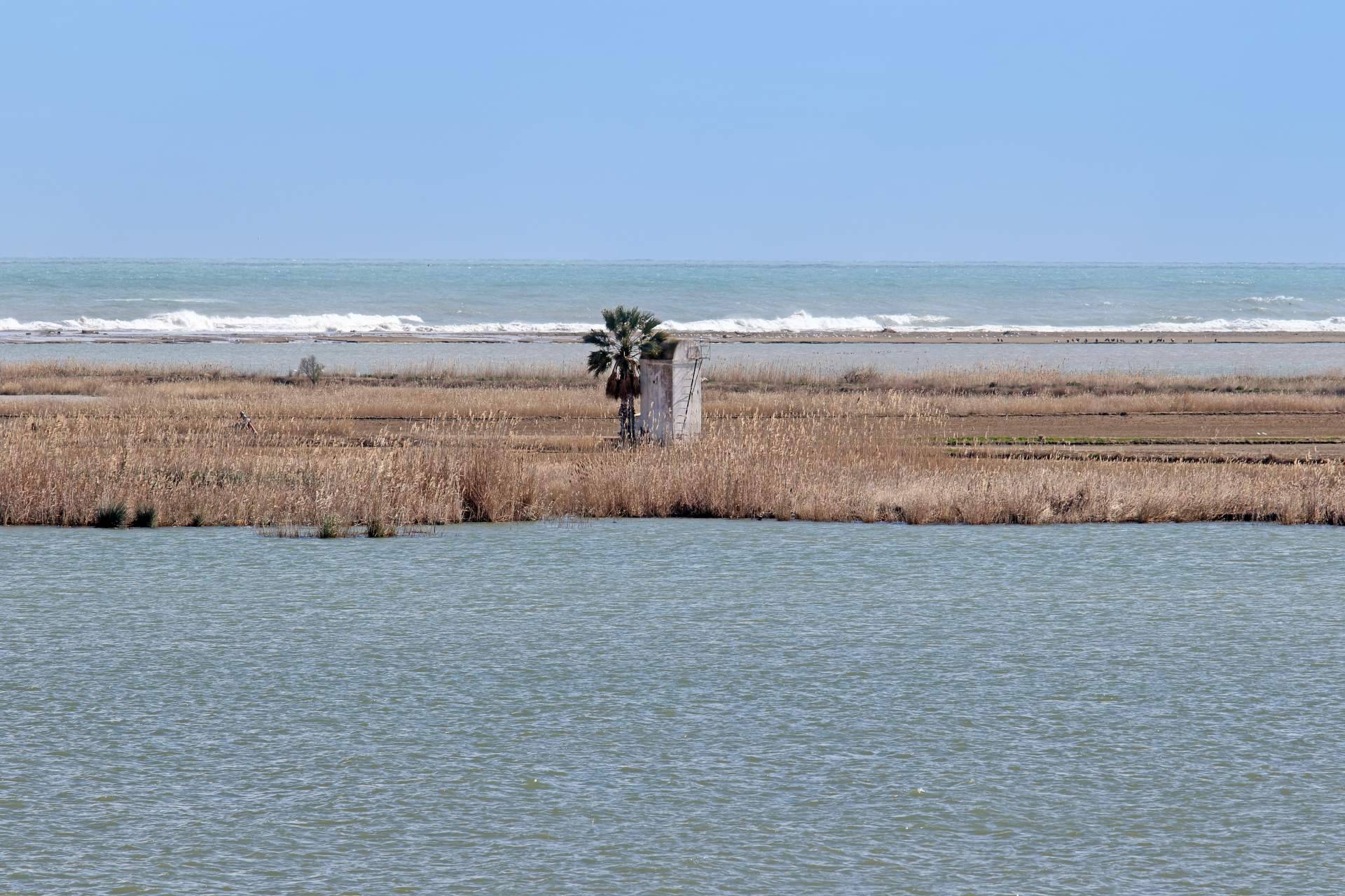Viajes vacacionales y turísticos en autocar