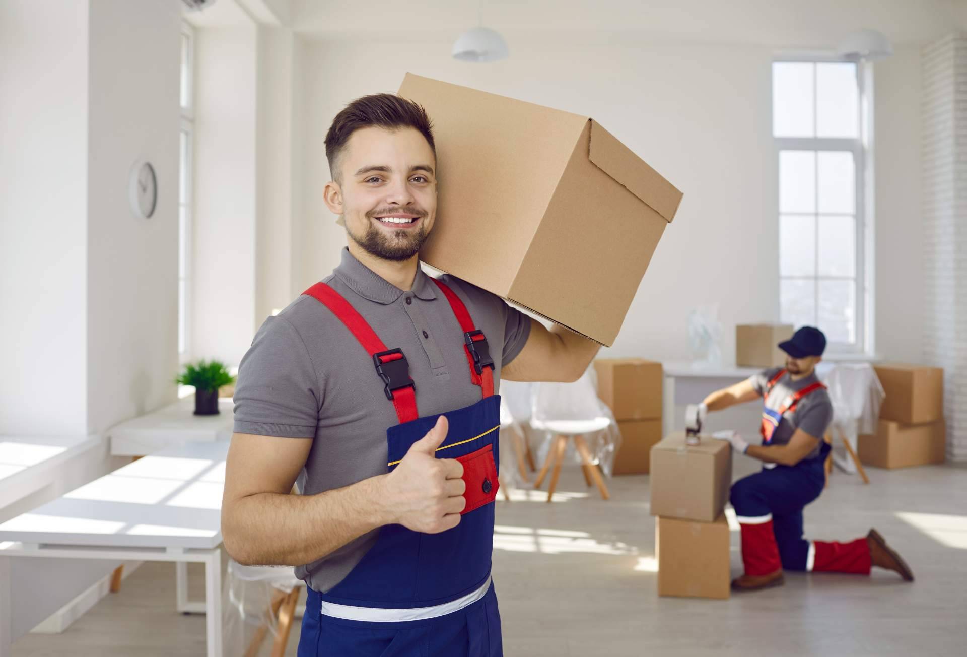 Redmoving, empresa que realiza mudanzas a Alemania