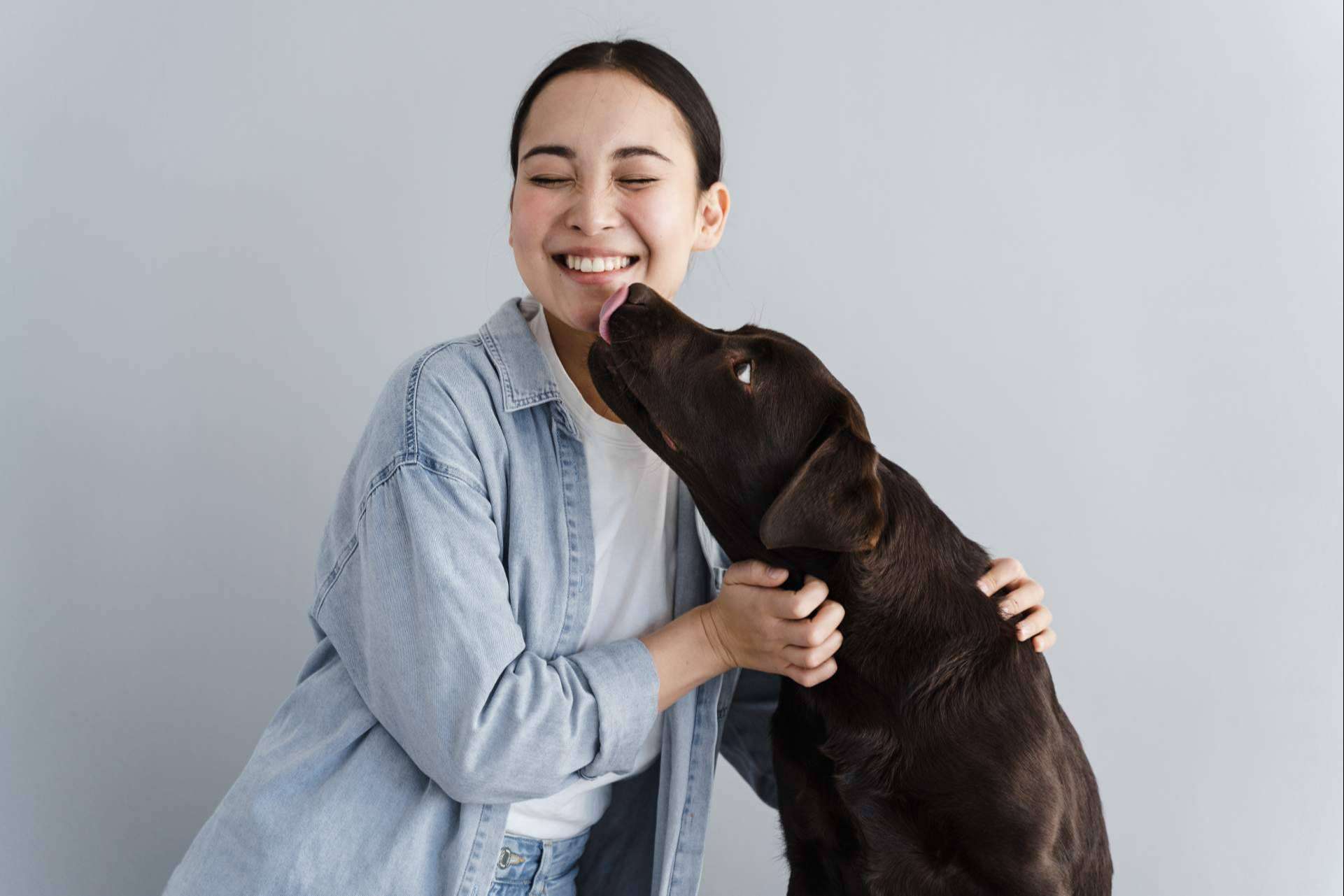 Cómo escoger un buen momento para adoptar un perro