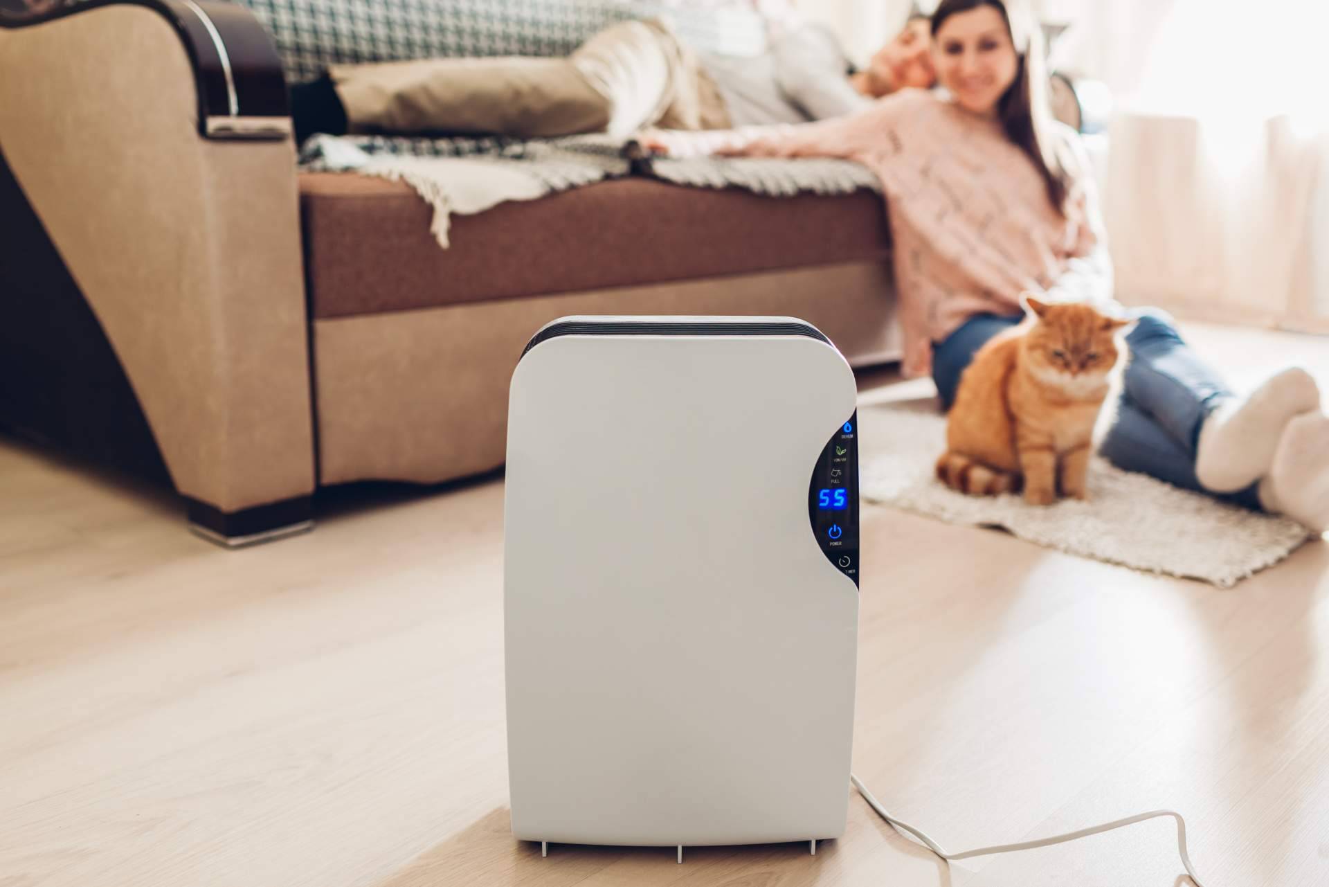 Hogar Climatizado, web de referencia en climatización para el hogar, analiza y compara los mejores deshumidificadores del mercado