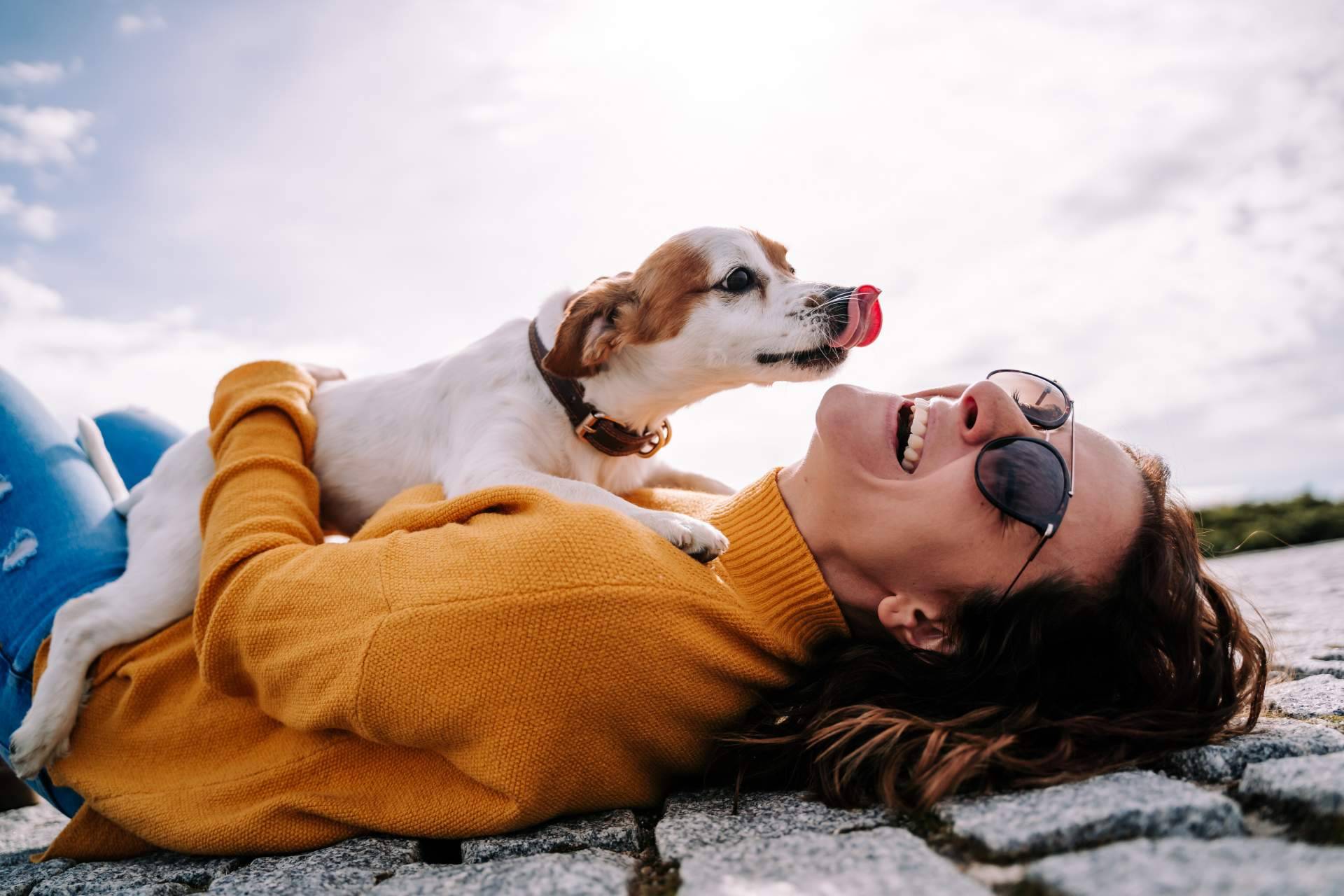 La ansiedad en perros y problemas de comportamiento, por Mooiza Zen