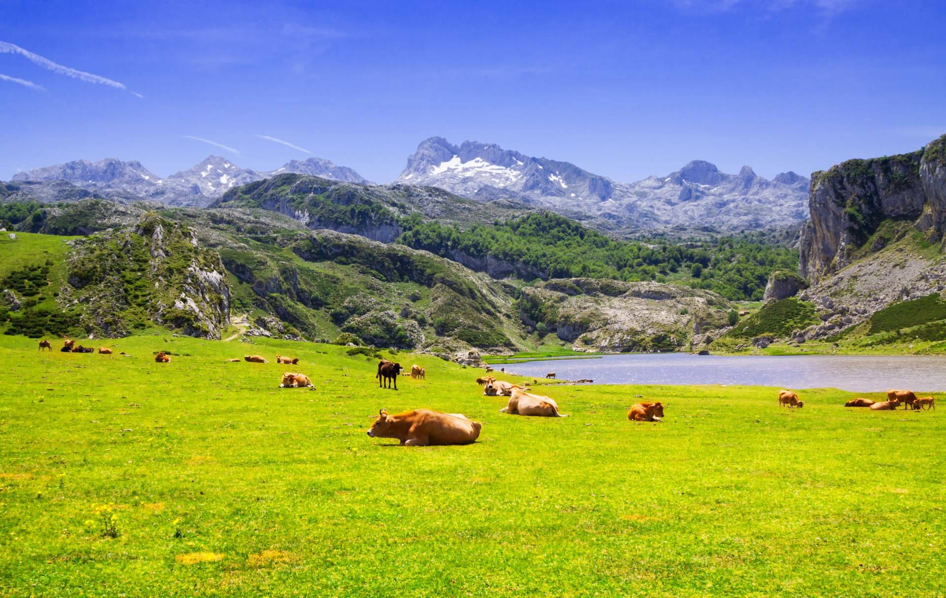 Asturias, un paraíso en el norte de España