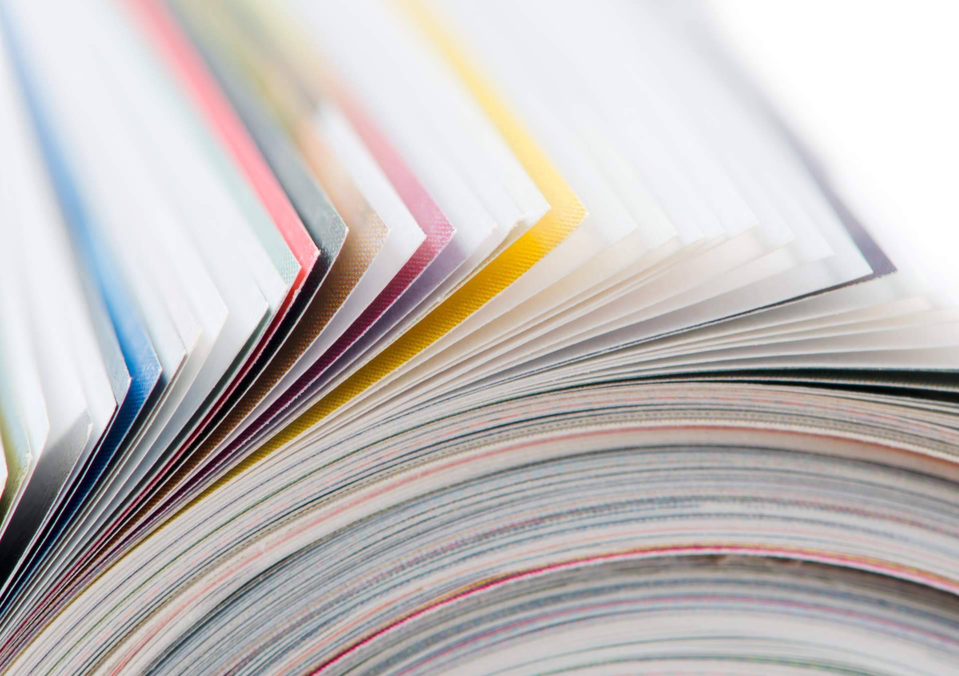 Editorial Pluma y el éxito de sus nuevos lanzamientos publicados en 2022