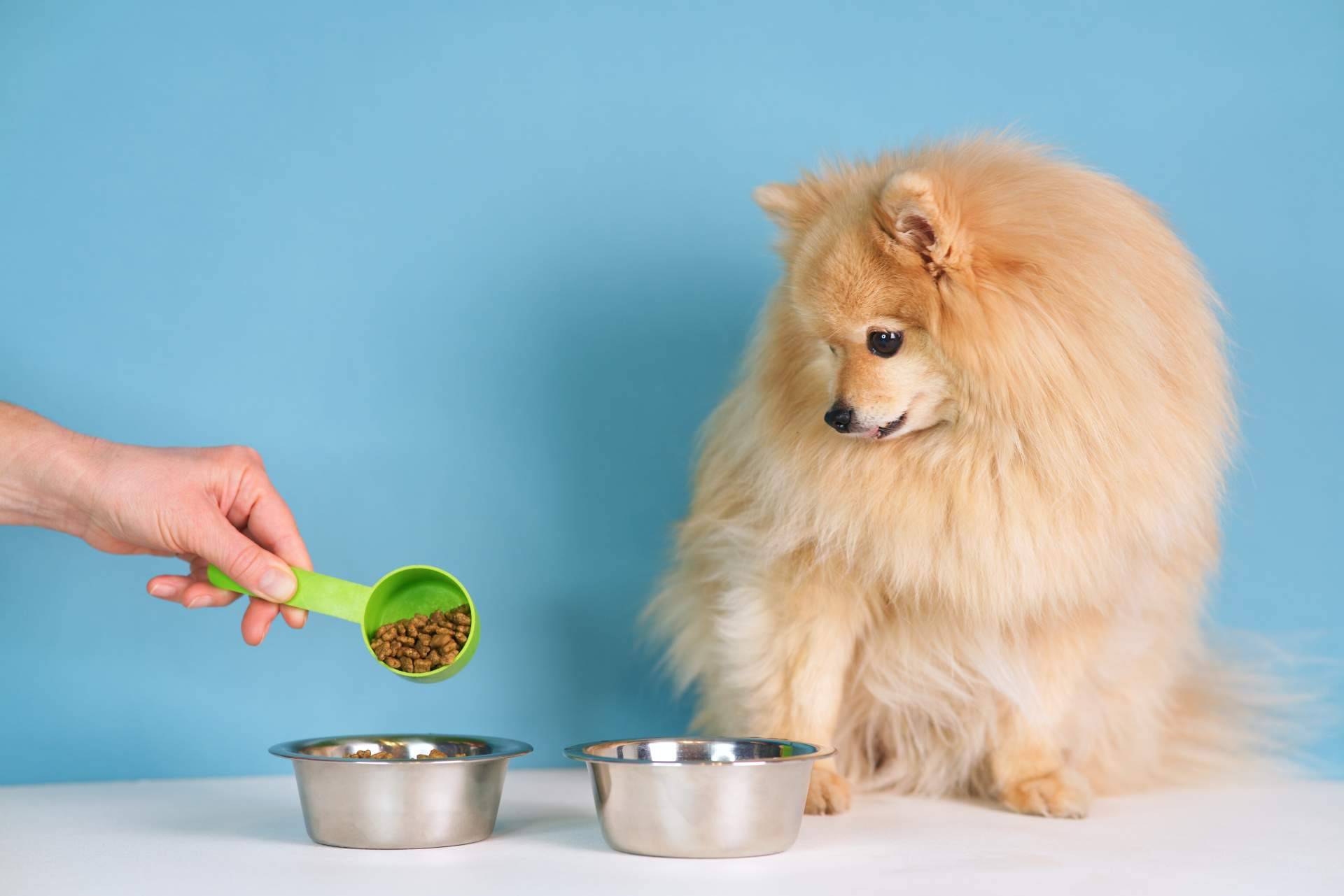 Contribuir al bienestar de las mascotas con snacks naturales
