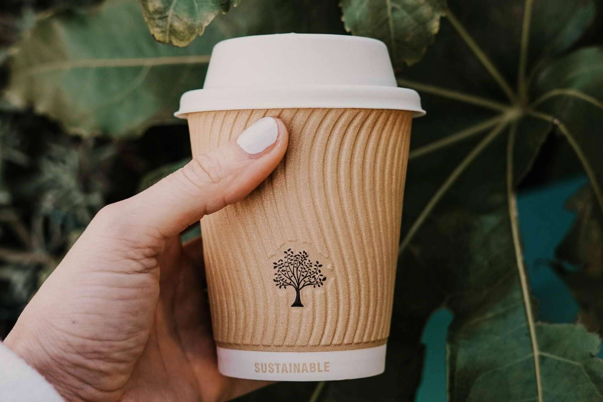Tomarse un respiro con los vasos de cartón para café de Punto Qpack
