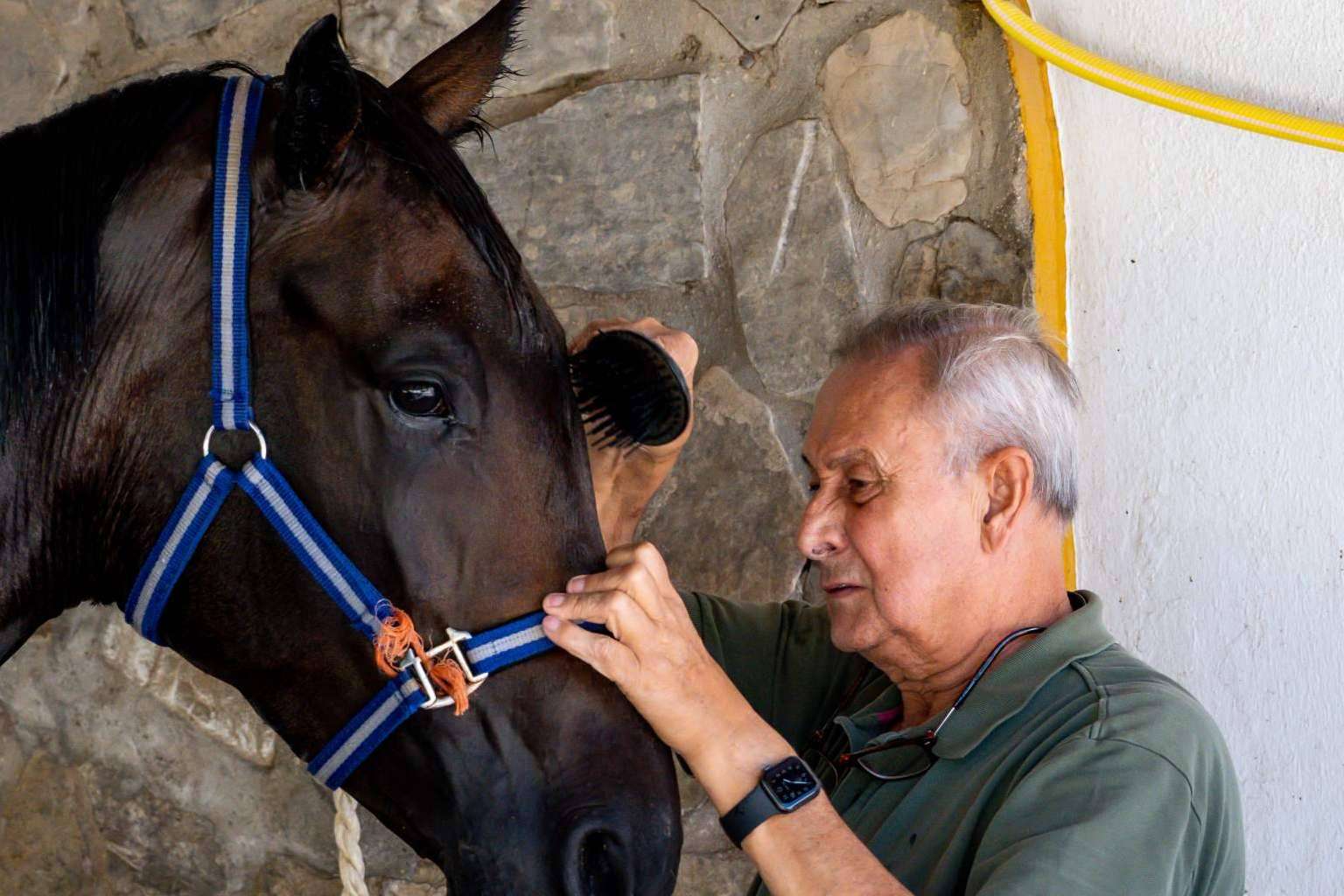 Yeguada Encinasola, el centro donde cuidar de la salud tanto de jinetes como de caballos