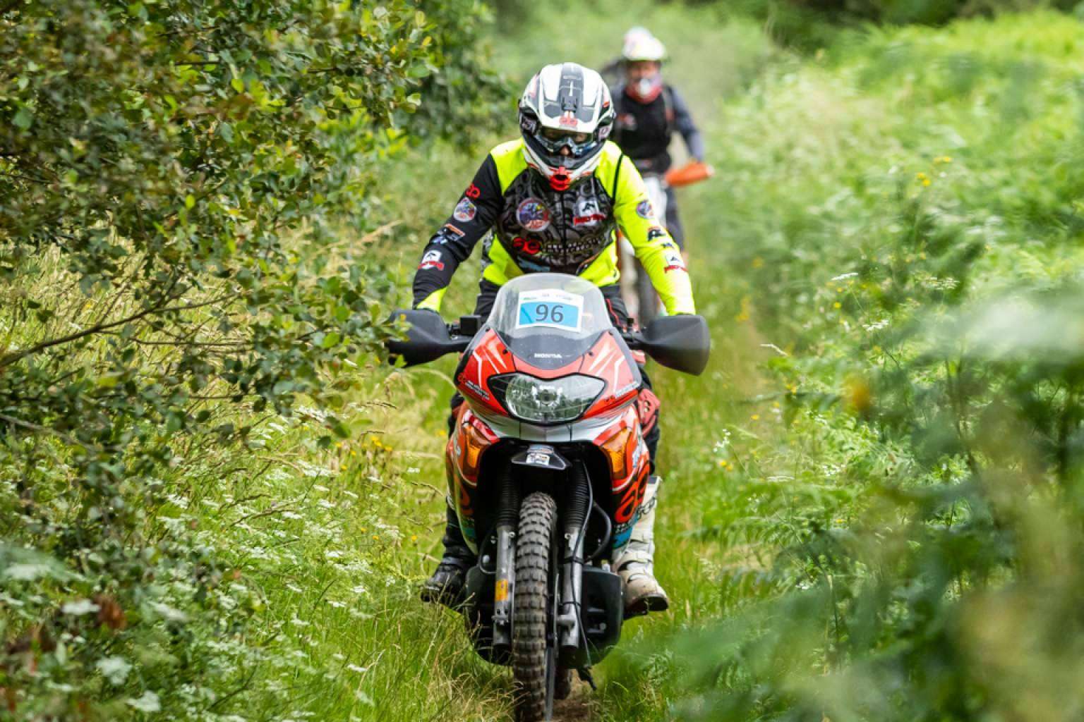Diversas opciones de pegatinas para moto personalizada de la mano de ADHESIVOSEMBARRADOS