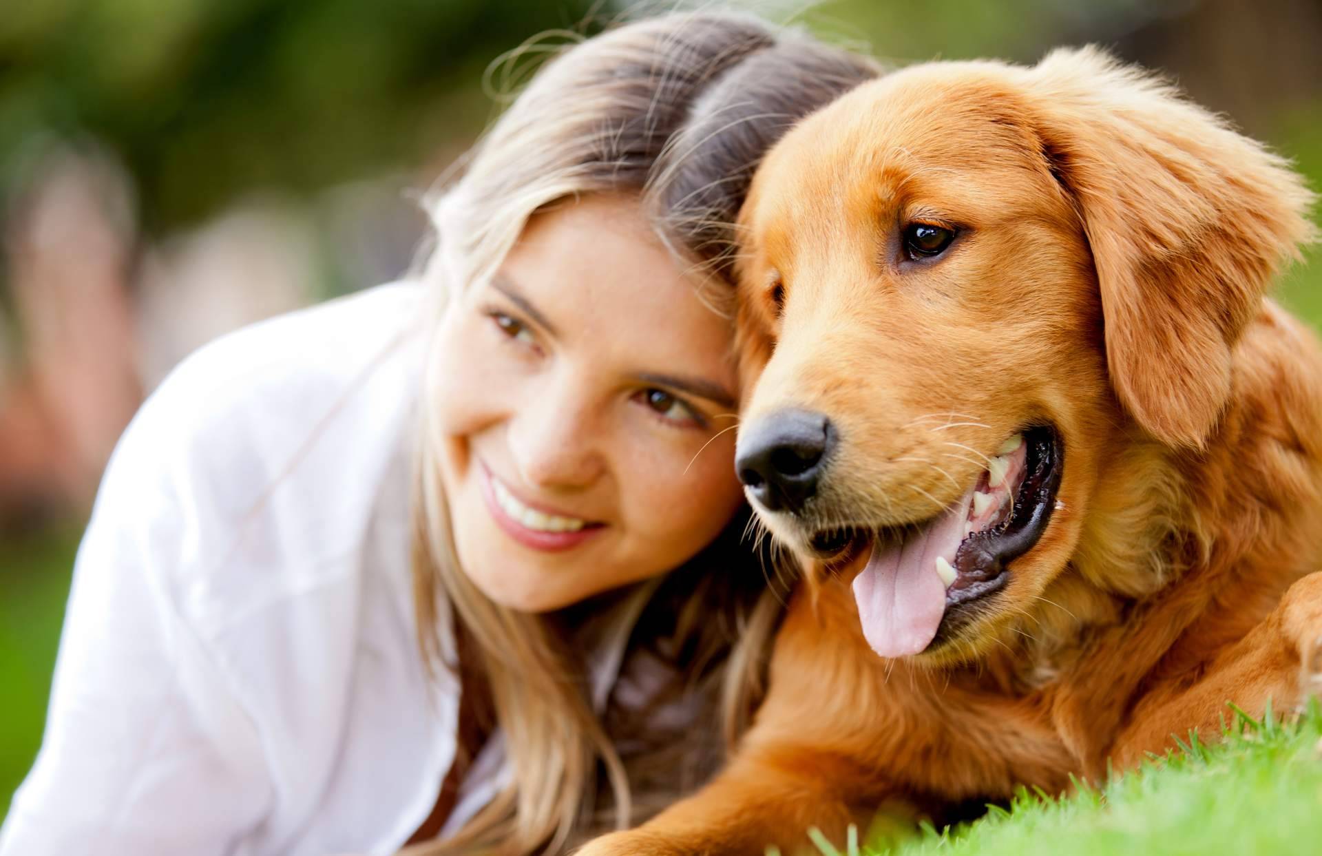 Los piensos para perros y gatos con harina de insectos presentan beneficios sostenibles