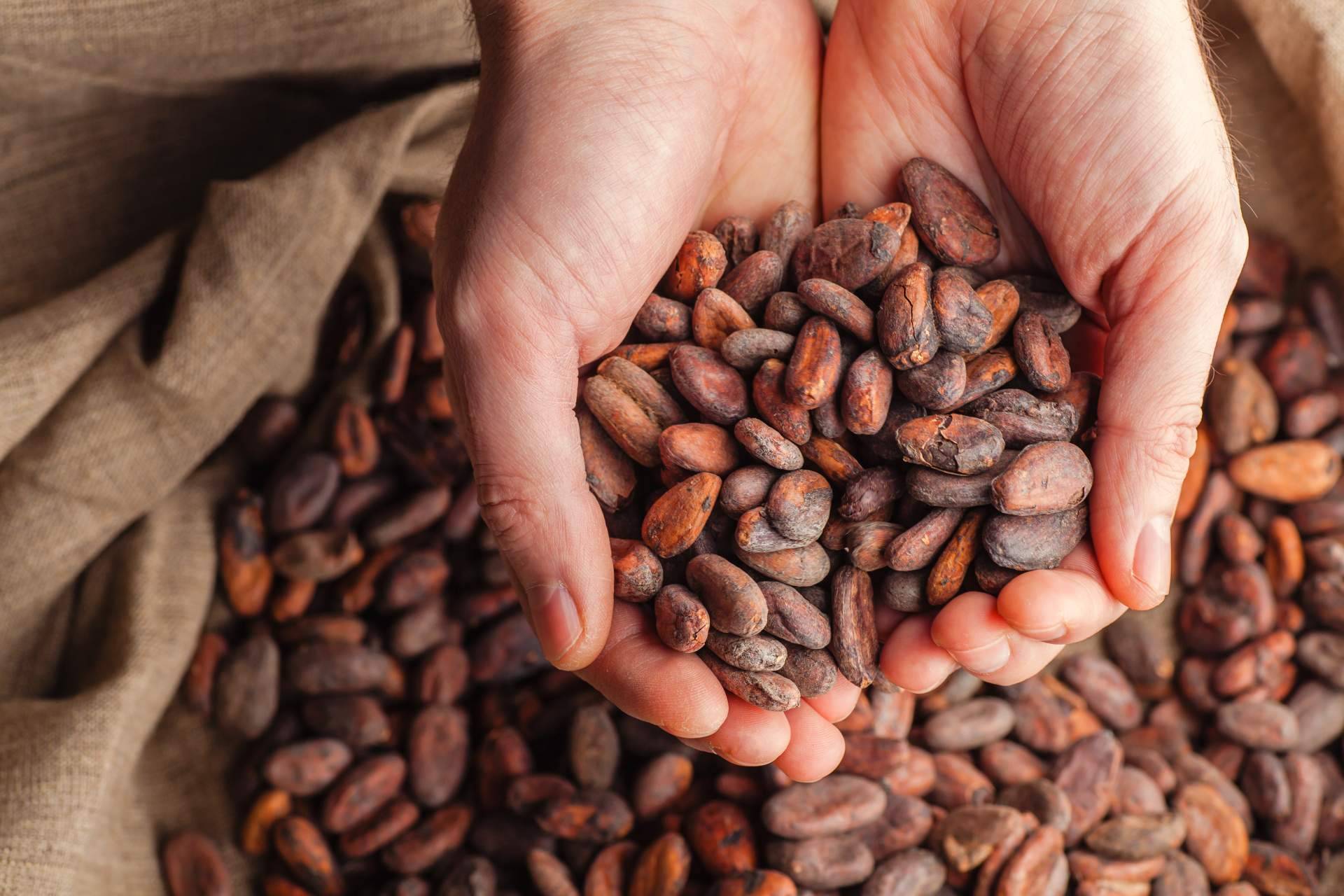 La historia del cacao, de método de pago a token
