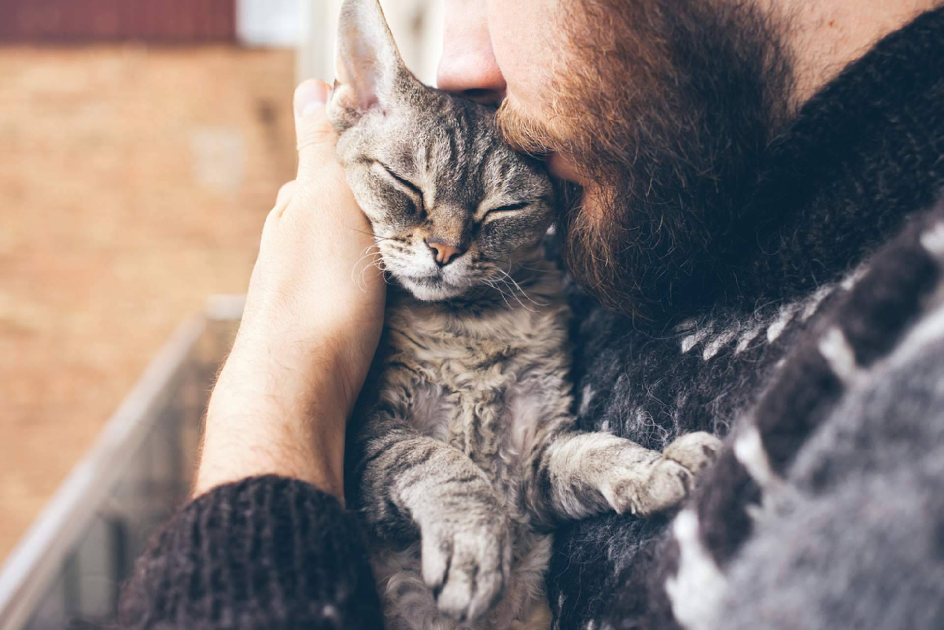 Es necesaria una buena alimentación para los perros y gatos que están en centros de acogida, por CaniAusa