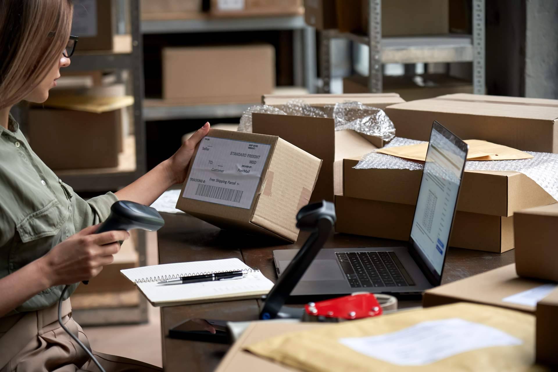 Especialistas en soluciones de logística integral, e-commerce y marketing digital, Loginser
